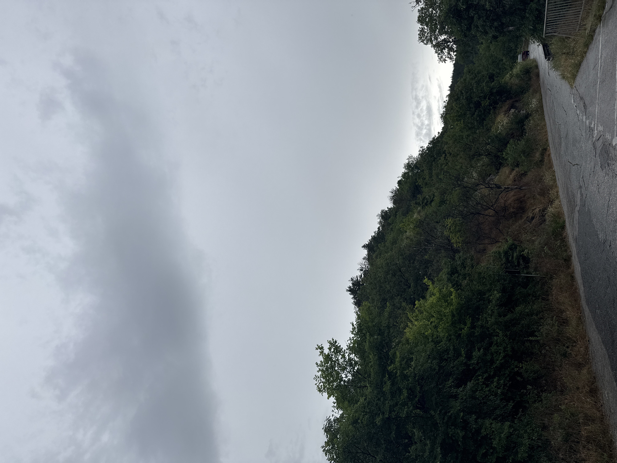 The image depicts a rural road winding through a heavily wooded hillside. The sky is overcast with dark gray clouds, suggesting a possibly stormy or pre-storm condition. The road surface is asphalt and appears worn, with visible cracks and patches, and is wet, indicating recent rain or damp conditions.
On the left side of the road, the hillside is covered in dense, dark green foliage, with various trees and undergrowth. Some drier, light brown grass is visible along the edge of the road and the base of the hill. On the right side of the road, the hillside also slopes upwards, covered in similar vegetation. Further along the road, a dark red vehicle is visible in the distance, moving away from the camera. To the immediate right of the road in the foreground, there is a metal fence or barrier.
The overall environment is natural and appears somewhat untamed, characteristic of a mountainous or hilly region outside of a developed urban center. Given the context of Lyaskovo, Bulgaria, this scene is consistent with the surrounding natural landscape, possibly a road leading into or through its hilly terrain.