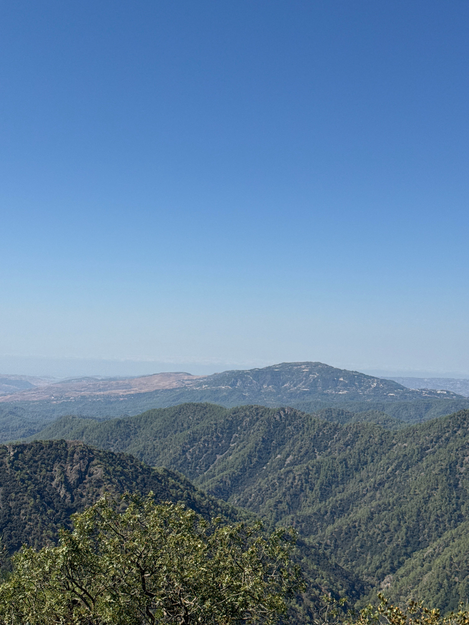 This is a photograph of a mountainous landscape in the vicinity of Mylikouri, Cyprus. The scene is dominated by rolling, tree-covered hills that recede into the distance. In the foreground, dense green foliage from trees partially obscures the view of the lower slopes. The middle ground features layered, verdant mountains with distinct shadows indicating uneven terrain. The background reveals a lighter-colored, more arid mountain range under a clear, bright blue sky. The overall impression is one of a vast, natural environment with a sense of depth created by the successive mountain ranges and the clear atmosphere. There are no people or man-made structures clearly visible in this image, suggesting a remote and natural setting. The lighting suggests a sunny day, likely during daylight hours.