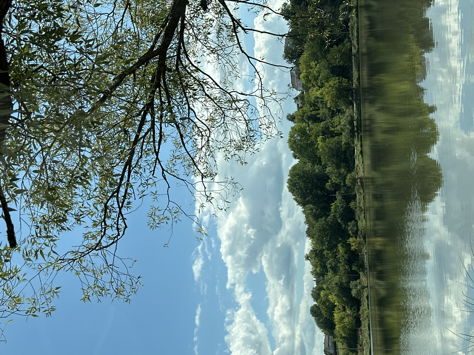 This is a vertical, eye-level, outdoor photograph of a calm lake with a densely wooded hill in the background, under a blue sky with scattered white clouds. A tree with thin branches and small green leaves extends into the foreground from the upper right corner, partially obscuring the sky and the hill. The lake's surface is smooth, reflecting the sky, clouds, and trees. On the hill, there are various shades of green trees, with some buildings visible at the crest. The overall scene depicts a serene natural landscape. The location is identified as Makiv, Ukraine. There are no people or animals clearly visible in the photograph. The lighting suggests it is daytime, likely late morning or afternoon, with sunlight casting soft shadows.