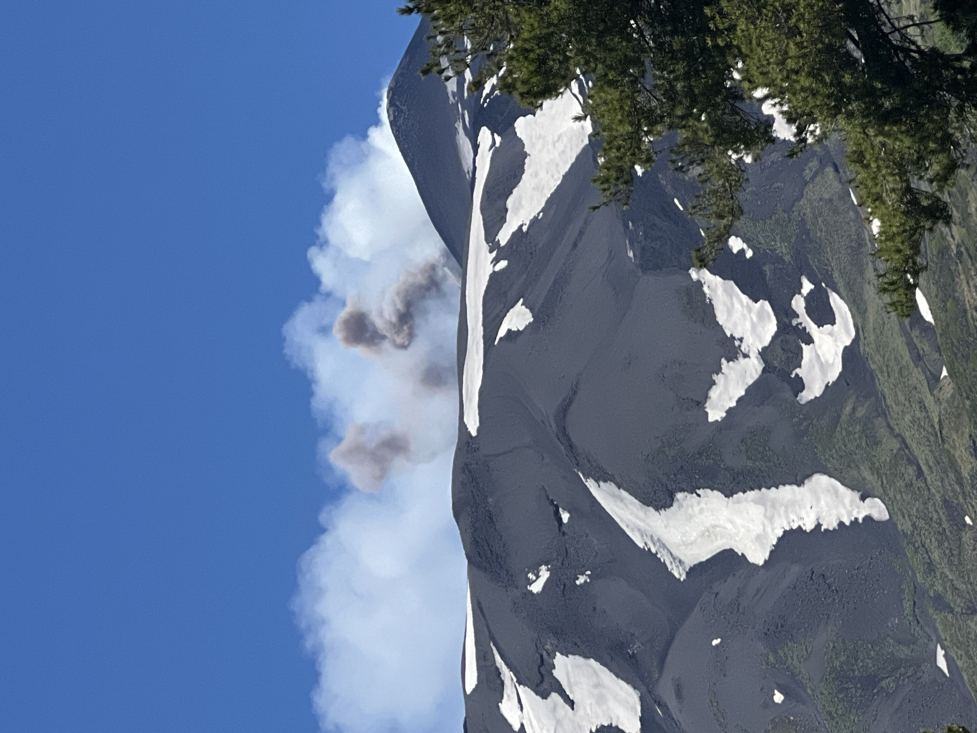 This is a medium-shot, eye-level, natural light, vertical photograph of Mount Etna erupting. The image captures a conical, dark grey mountain peak with patches of white snow scattered across its slopes. A plume of grey smoke billows from the summit and drifts into a clear, bright blue sky. The smoke has a cloud-like appearance with darker, denser sections. In the foreground, on the right side of the image, the branches of a green pine tree extend into the frame. The overall environment suggests a volcanic mountain landscape under a sunny sky. The image is located in the vicinity of Linguaglossa, Italy, a town at the foot of Mount Etna.