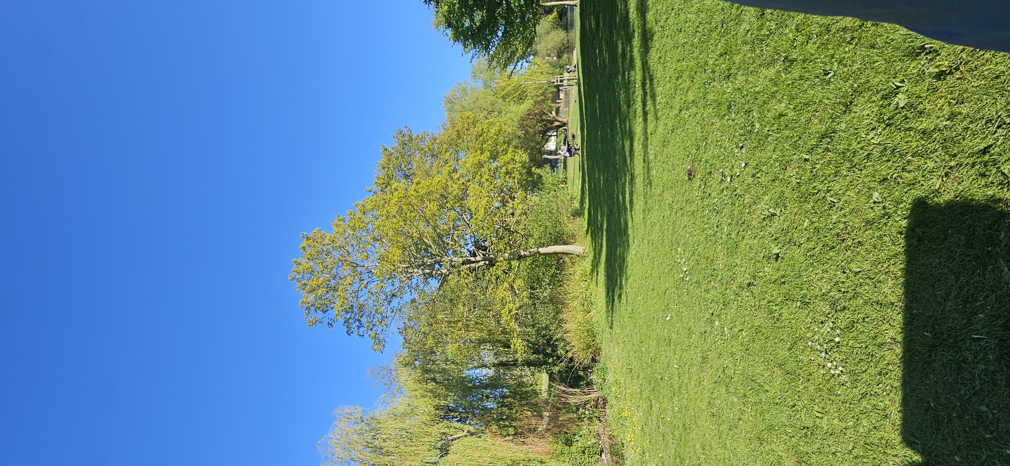 The image captures a vibrant, sunny outdoor scene, likely a park or riverside area in Norwich, United Kingdom. A clear, expansive blue sky dominates the upper portion of the frame, completely free of clouds.
The ground is covered by a wide expanse of lush green grass, extending from the foreground into the mid-distance. Small white and yellow wildflowers or weeds are scattered within the grass. Distinct, long shadows from unseen trees or structures stretch across the grassy area, indicating bright sunshine and suggesting a time of day like late morning or early afternoon.
On the left side, a variety of trees with full, bright green foliage create a natural boundary. A prominent tree with a relatively light-colored trunk and abundant leaves stands in the mid-ground. Further back and to the left, more dense trees and shrubbery line what appears to be a calm body of water, possibly a river or canal.
In the mid-ground, near the water's edge, several people are visible enjoying the pleasant weather. Some individuals are seated on benches along the bank, while another person can be seen relaxing on a purple object, possibly a large cushion or beanbag, close to the water. The scene conveys a peaceful and relaxed atmosphere, ideal for outdoor leisure. There is no visible text in the image.