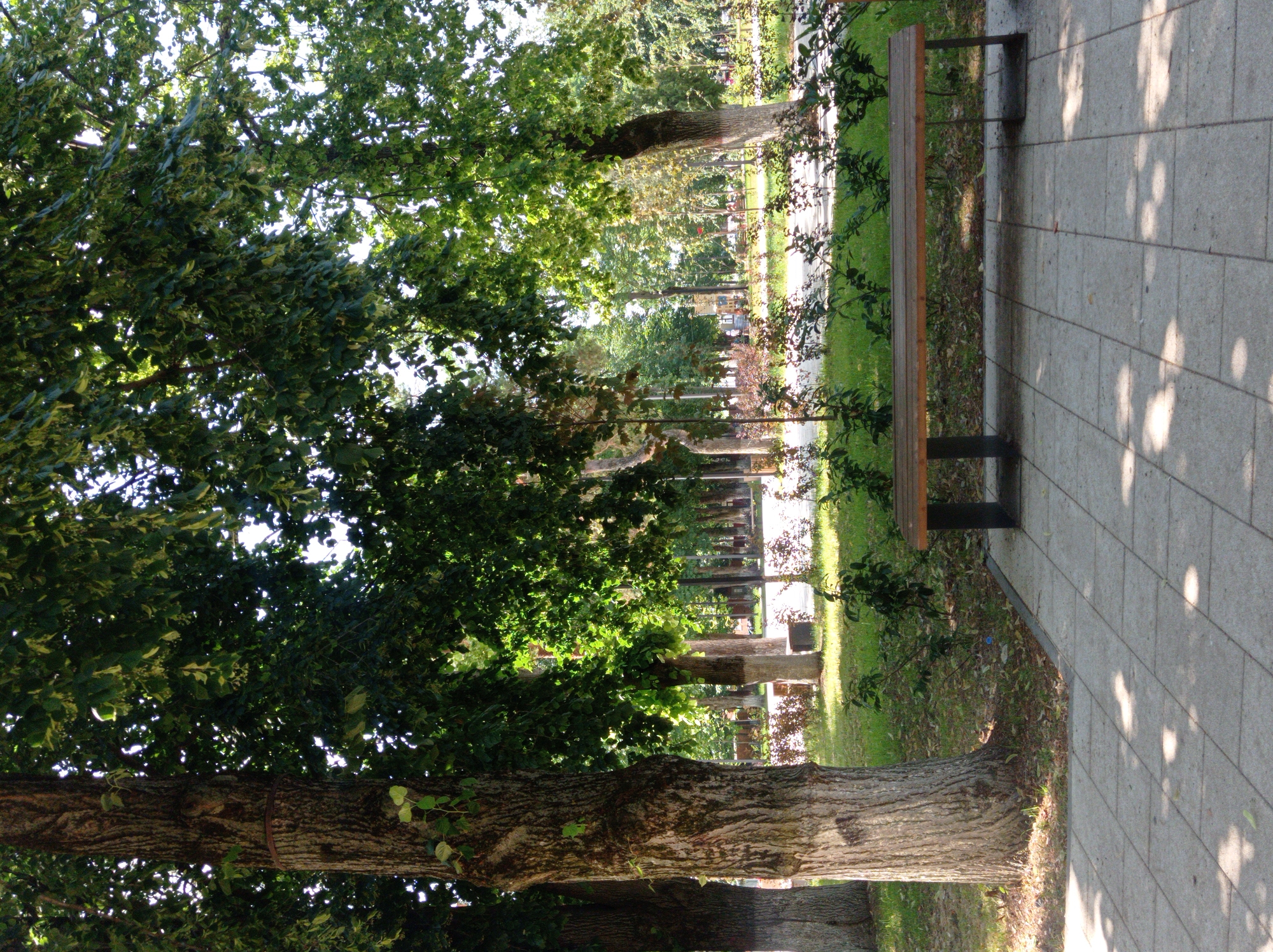 The image depicts a park scene with a paved walkway in the foreground and a wooden park bench. Large trees with dense green foliage provide shade. Sunlight filters through the leaves, casting dappled shadows on the ground. In the background, there are more trees and a hint of a road or pathway. The overall setting suggests a serene outdoor environment.