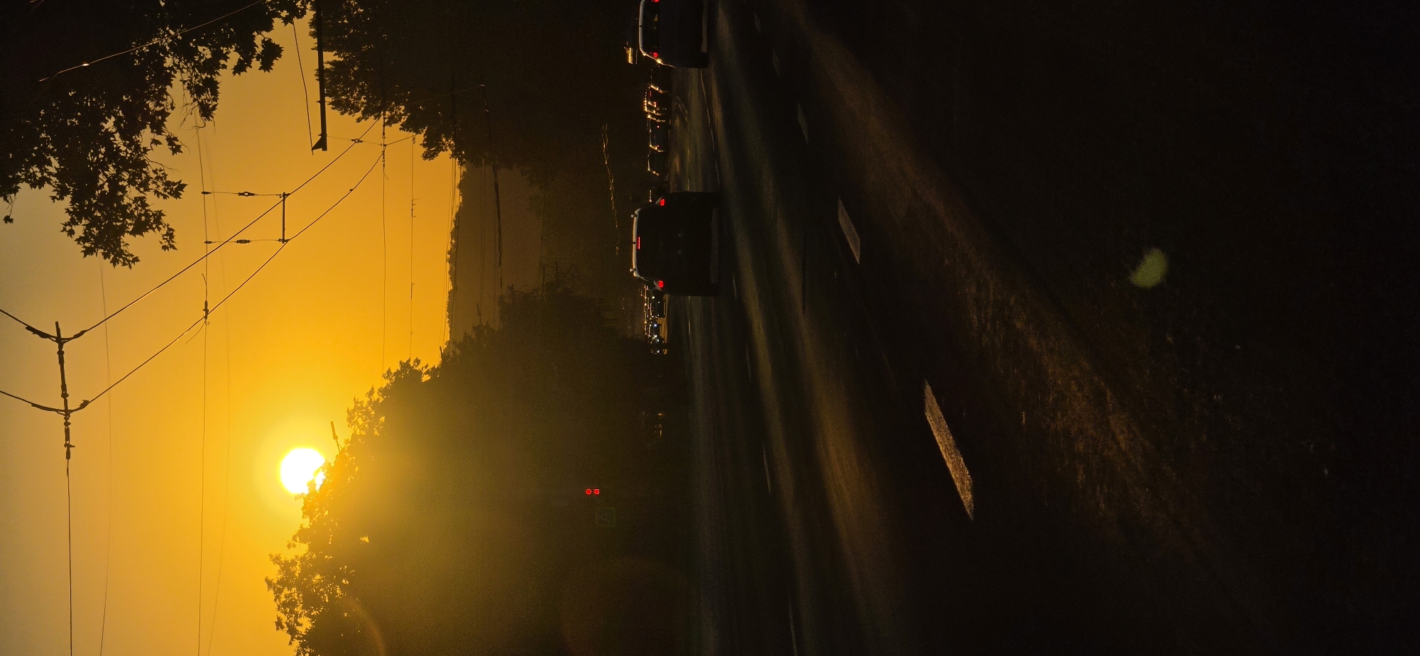 The image depicts a street scene in Chișinău, Moldova, during sunset. The sun, a bright, intense orb, dominates the upper left portion of the frame, casting a warm, golden-orange glow across the sky and illuminating the scene with a strong backlight. Trees, silhouetted against the bright sky, line the left and right sides of the road. Overhead, trolleybus wires crisscross the sky, indicating urban infrastructure.
The road itself is dark, with visible lane markings that are partially illuminated by the setting sun, creating streaks of light and shadow. Several cars are visible on the road, most of them dark silhouettes. The car in the foreground, in the center of the road and closest to the viewer, is a dark SUV with its brake lights illuminated. Further down the road, other cars are seen in traffic, their headlights and taillights creating points of light in the deepening dusk. A traffic light, showing a red signal, is visible to the left of the road, just behind the trees. The overall impression is of a typical urban commute during a beautiful sunset, with the natural light dramatically enhancing the urban landscape.