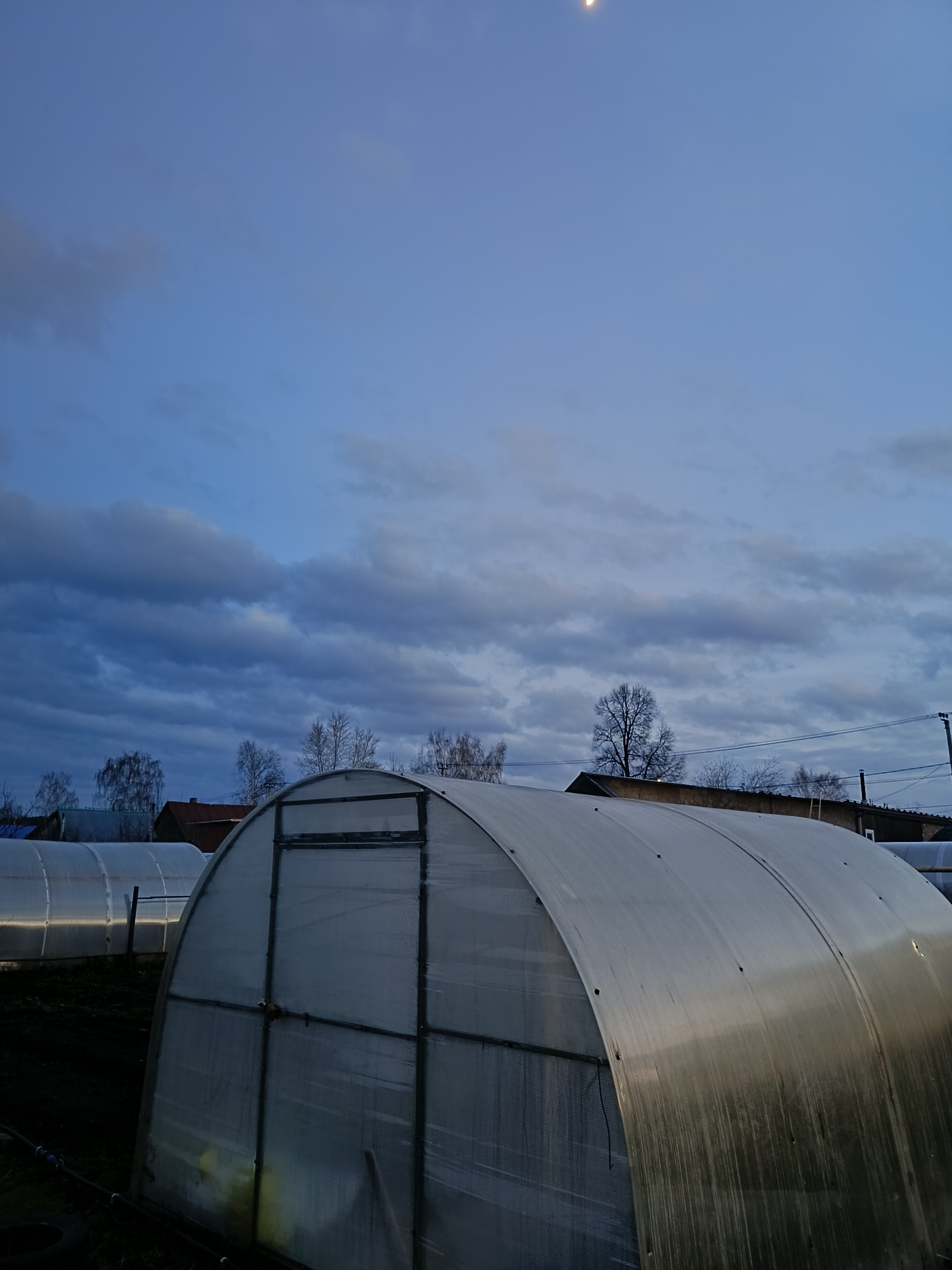 The image displays an outdoor scene at twilight, likely either dusk or dawn, featuring multiple hoop greenhouses under a cloudy sky in Chaikovsky, Russia. In the foreground, a large, arched greenhouse with a metal frame and clear or translucent plastic covering dominates the right side, showing its door structure. Another similar greenhouse is partially visible behind it on the left.
The sky is a deep blue, transitioning from lighter tones near the horizon to darker shades overhead, and is filled with substantial grey and purplish clouds. A small, faint crescent moon is visible in the upper right portion of the sky.
In the background, the bare branches of deciduous trees stand silhouetted against the sky, indicating a non-foliage season. Parts of several buildings or houses, including their roofs, are visible nestled amongst the trees. Utility poles and overhead power lines are discernible on the right side of the background. The ground around the greenhouses appears to be dark soil. A black tire lies on the ground near the base of the greenhouse on the left. Faint yellow and green shapes or reflections can be seen through the translucent material of the foreground greenhouse, possibly indicating growth or objects within. The overall impression is one of quietude in a horticultural setting. No human activity or visible text is present.
