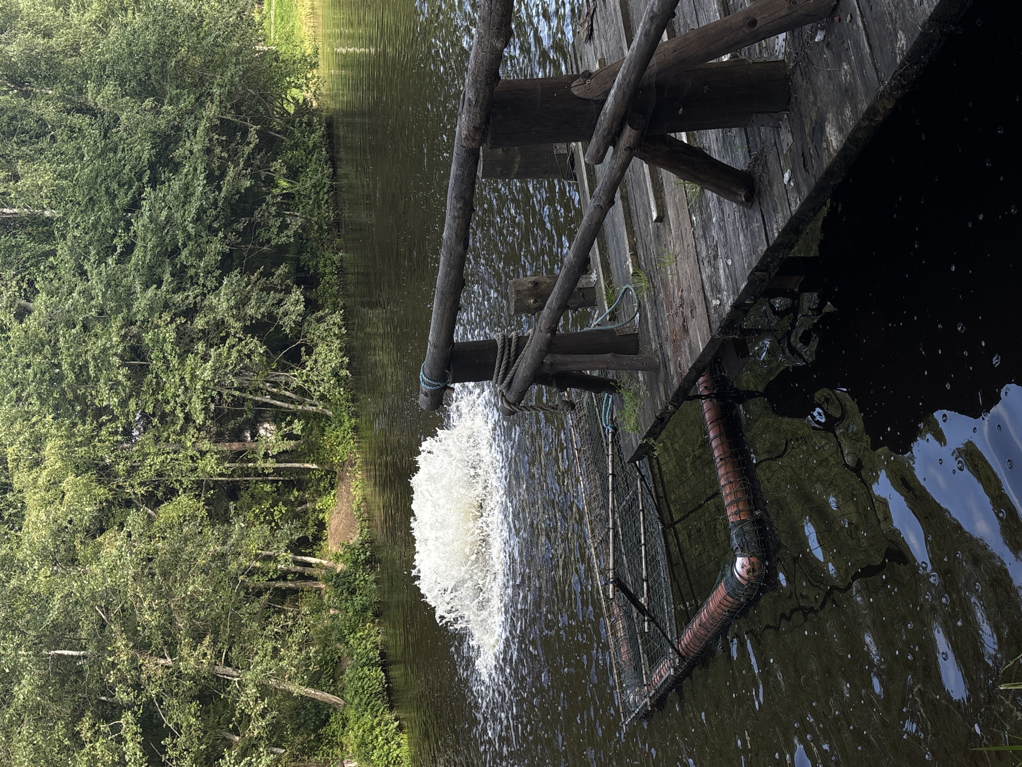 In Saula, Estonia, a wooden pier extends over dark, rippling water. A large aeration device churns the water, creating a white frothy explosion. Partially submerged in the water near the pier is a fish farm cage, constructed from netting and cylindrical flotation devices. The background is dominated by a dense line of green trees, their foliage casting reflections on the water's surface. The scene depicts a functional setup for water aeration, likely for aquaculture or pond maintenance.