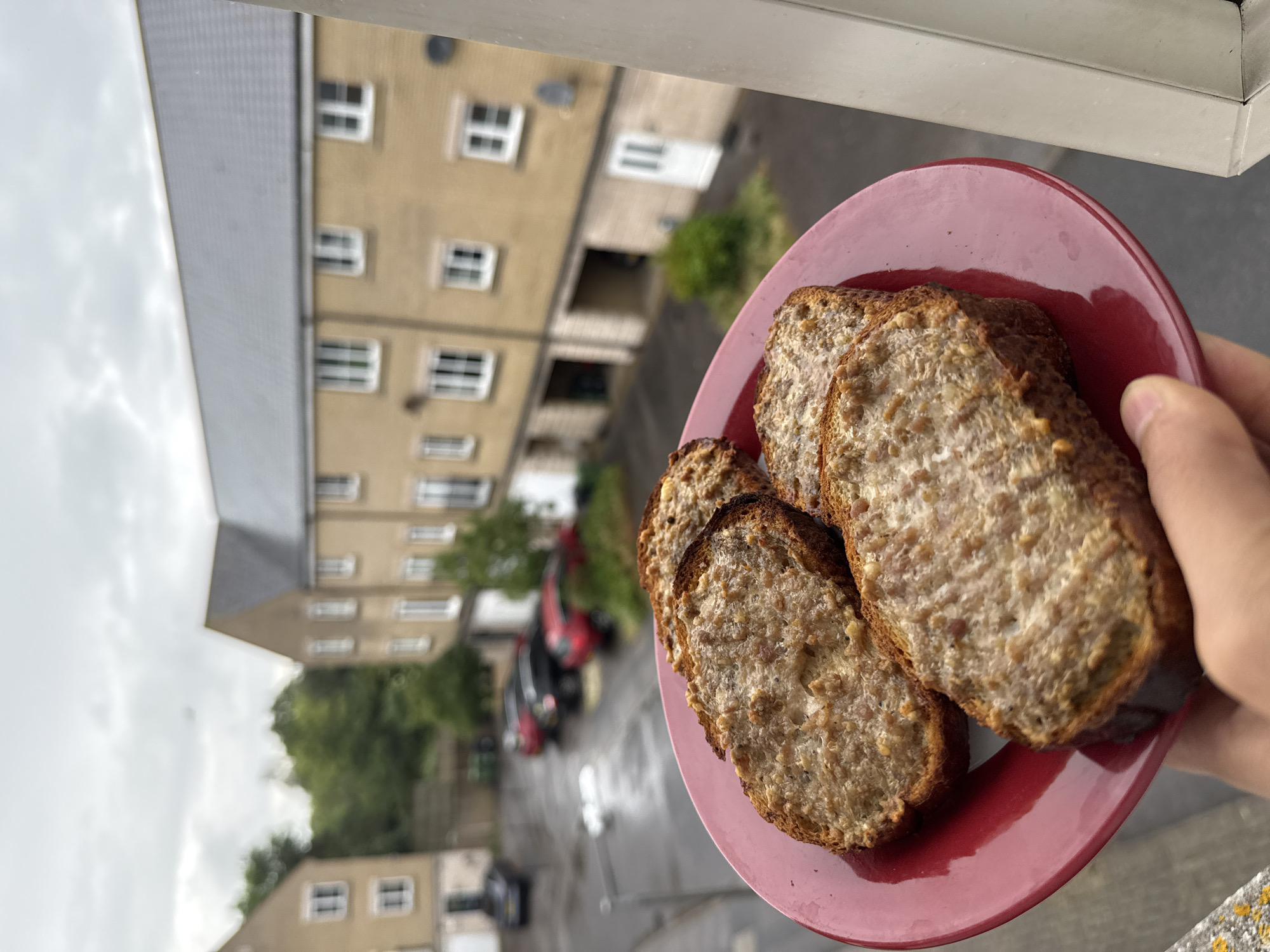 The image presents a hand holding a red plate laden with several slices of bread, topped with a textured, light-colored spread. The bread appears to be toasted or baked wholemeal, featuring a dark crust and a dense, grainy interior. The plate is a glossy, solid red.
The scene is viewed from an elevated position, likely a window or balcony, overlooking a residential area. In the background, several multi-story buildings, characterized by light beige facades and numerous white-framed windows and doors, line a street. The architecture is consistent with residential blocks found in the United Kingdom. The street below appears damp, suggesting recent rain or humid weather conditions. A red car is prominently parked on the street, with another darker vehicle visible further away. Scattered greenery, including trees and bushes, can be seen between the buildings.
The sky is largely overcast with heavy grey and white clouds, indicating a cloudy daytime. Given the context, the location is Great Yarmouth, United Kingdom. No specific activity beyond holding the food is discernible, and no explicit emotions are visible. There is no visible text in the image.