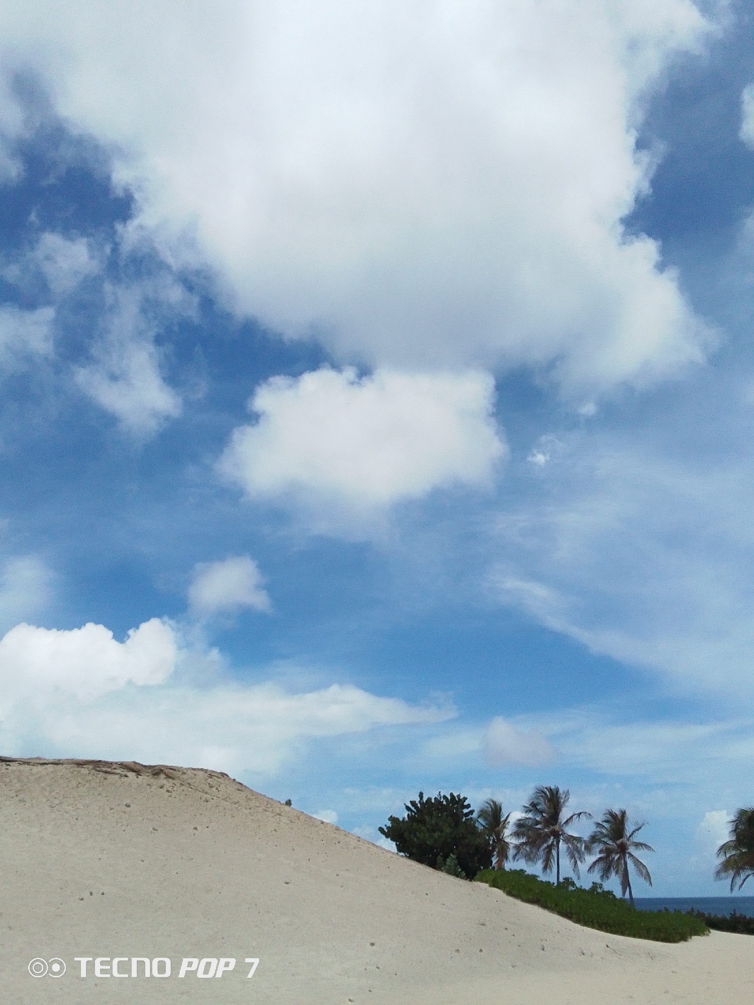 The image presents a beach landscape in Pedro González, Venezuela. A large sand dune dominates the foreground, its surface textured with grains. Beyond the dune, a line of vegetation, including palm trees and shrubs, separates the sand from the sea, which is visible as a faint blue line on the horizon. The sky is a vibrant blue, filled with large, puffy white clouds. A "TECNO POP 7" watermark is visible at the bottom left corner.