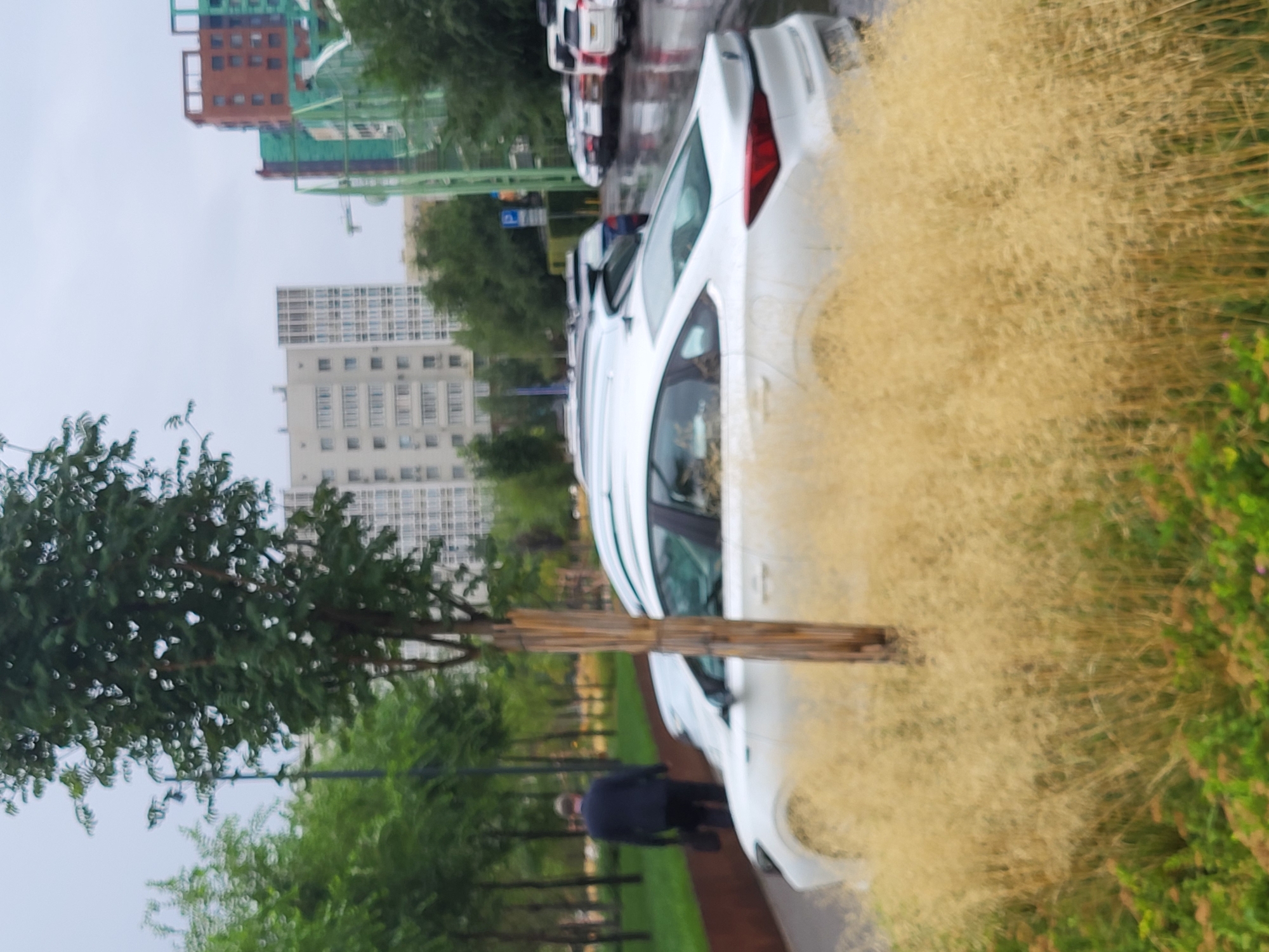 A medium shot captures a man in a dark suit walking away from the camera, carrying a black briefcase, in front of a line of parked cars in Astana, Kazakhstan. The man is positioned to the left of the frame. The cars are mostly white, with one dark blue car partially visible. The scene is set on a cloudy day, with wet asphalt suggesting recent rain. In the background, modern, multi-story buildings with a mix of residential and commercial architecture dominate the skyline, including one building with a distinctive red facade and green framework. Trees with lush green foliage line a pathway to the left of the man. In the foreground, tall, dry grasses create a blurred effect, obscuring the lower portion of the cars. The overall impression is an urban setting on an overcast day.