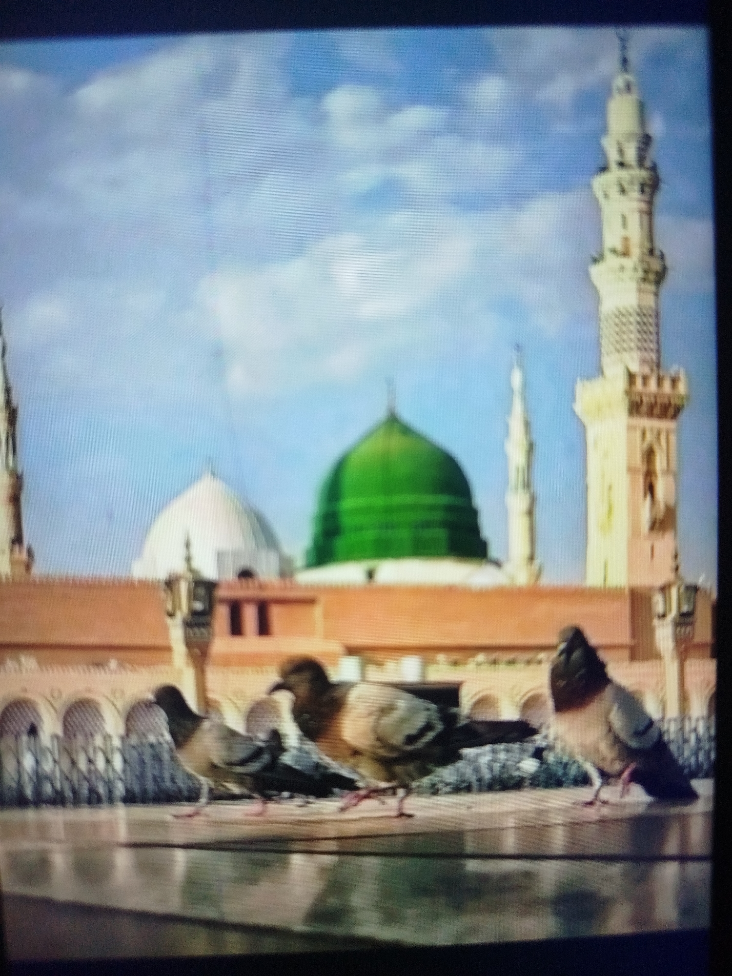 A wide shot captures the exterior of a mosque with a prominent green dome and a tall minaret. In the foreground, three pigeons are perched on a reflective surface. The mosque's architecture features ornate detailing and arched windows. The sky above is a pale blue with scattered clouds. The image appears to be a photograph of the Prophet's Mosque in Medina, Saudi Arabia, not Lassan, Pakistan.