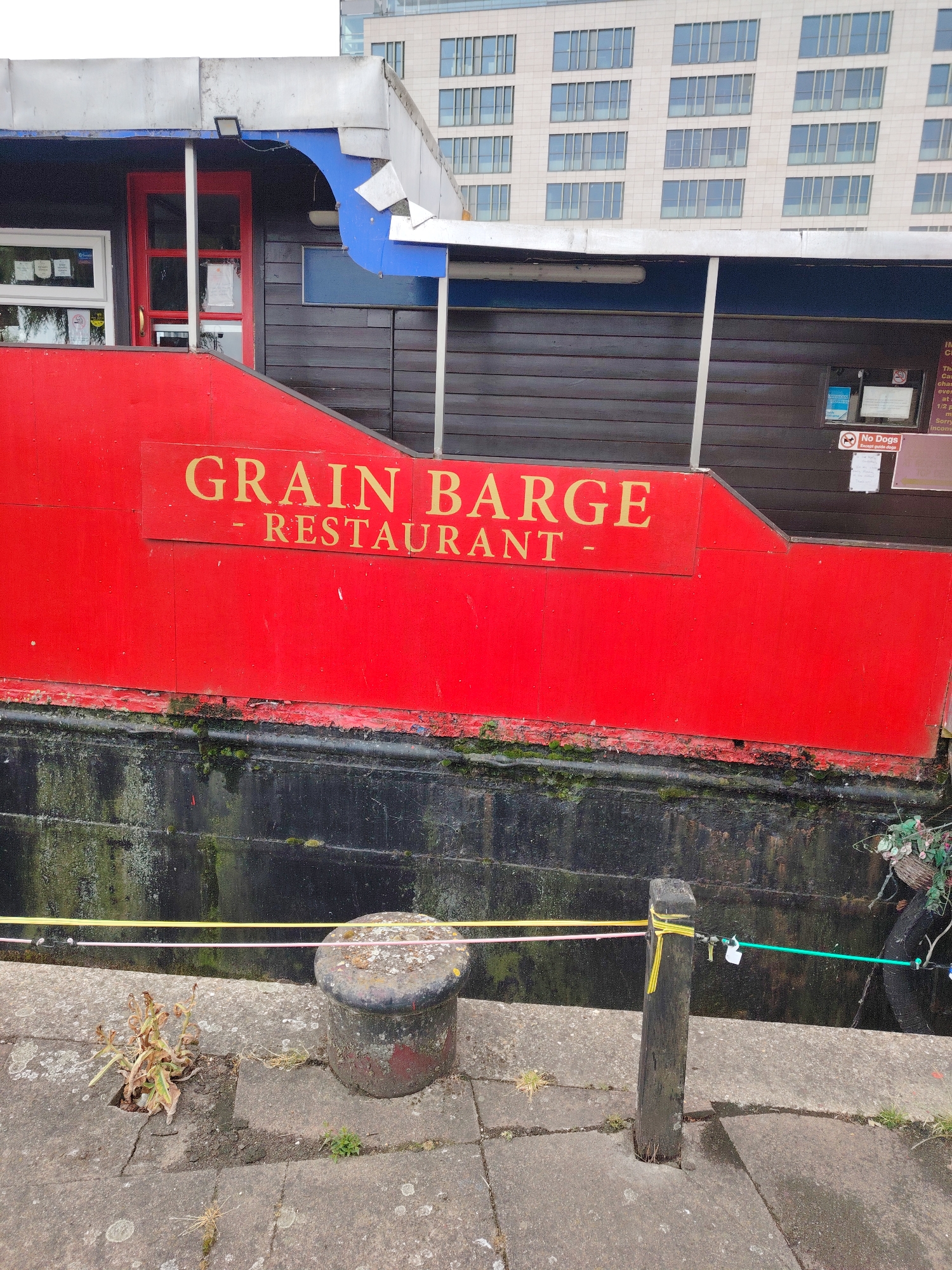 This image depicts the "Grain Barge Restaurant" moored on a waterway in Peterborough, United Kingdom. The restaurant is housed within a red and black barge, with a prominent sign in gold lettering displaying its name. The lower section of the barge is painted bright red, with a dark, algae-covered waterline transitioning to a deeper black hull below. The upper structure of the barge features dark wooden paneling, red-framed windows and a door, and some light blue and metallic silver roofing elements.
On the dockside in the foreground, a textured concrete surface shows signs of weathering and minor plant growth. A dark, mushroom-shaped mooring bollard is present on the left, and a vertical wooden post is visible on the right. Yellow, pink, and green ropes are strung horizontally between these posts, appearing to form a barrier or connection to the barge. A "No Dogs Except guide dogs" sign is affixed to the upper dark paneling of the barge. In the background, a modern, multi-story building with numerous large rectangular windows stands, indicating an urban environment. No individuals are visible in the scene.