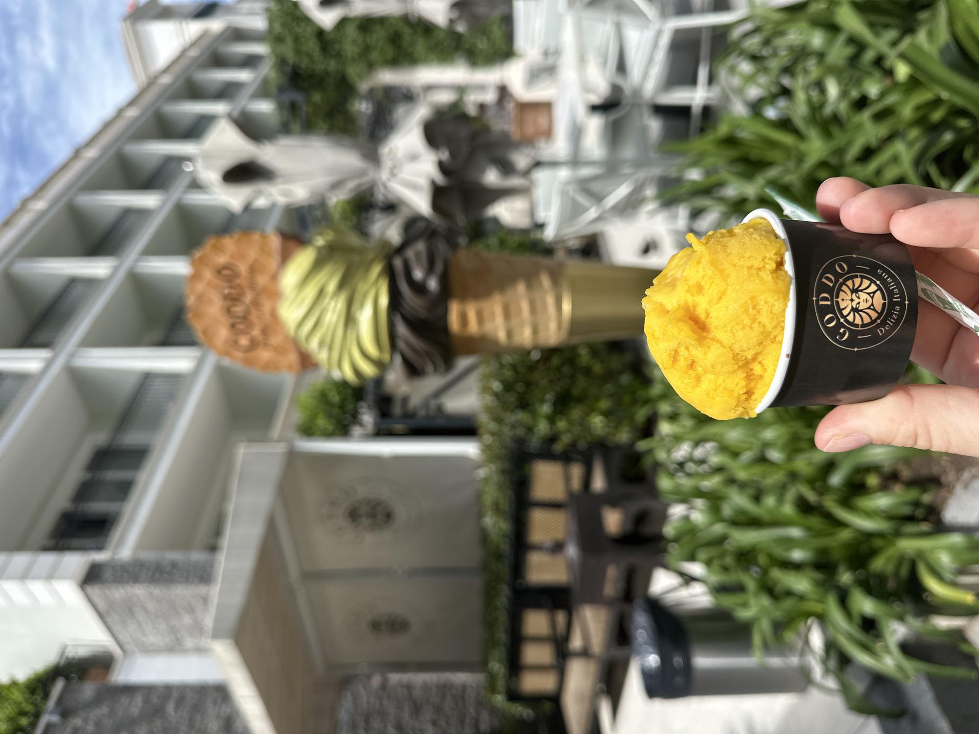 The image shows a person holding a cup of yellow sorbet from "Goddo Gelateria Italiana" in front of the gelateria's outdoor display in Budva, Montenegro. The sorbet is in a black cup with the gelateria's logo. Behind the sorbet, there is a large display of ice cream cones, including a multi-tiered cone with different flavors. The display is set against a backdrop of a building with white balconies and potted plants. Outdoor seating and umbrellas are visible, suggesting a patio area. The overall scene is sunny, indicating a bright day in Budva.