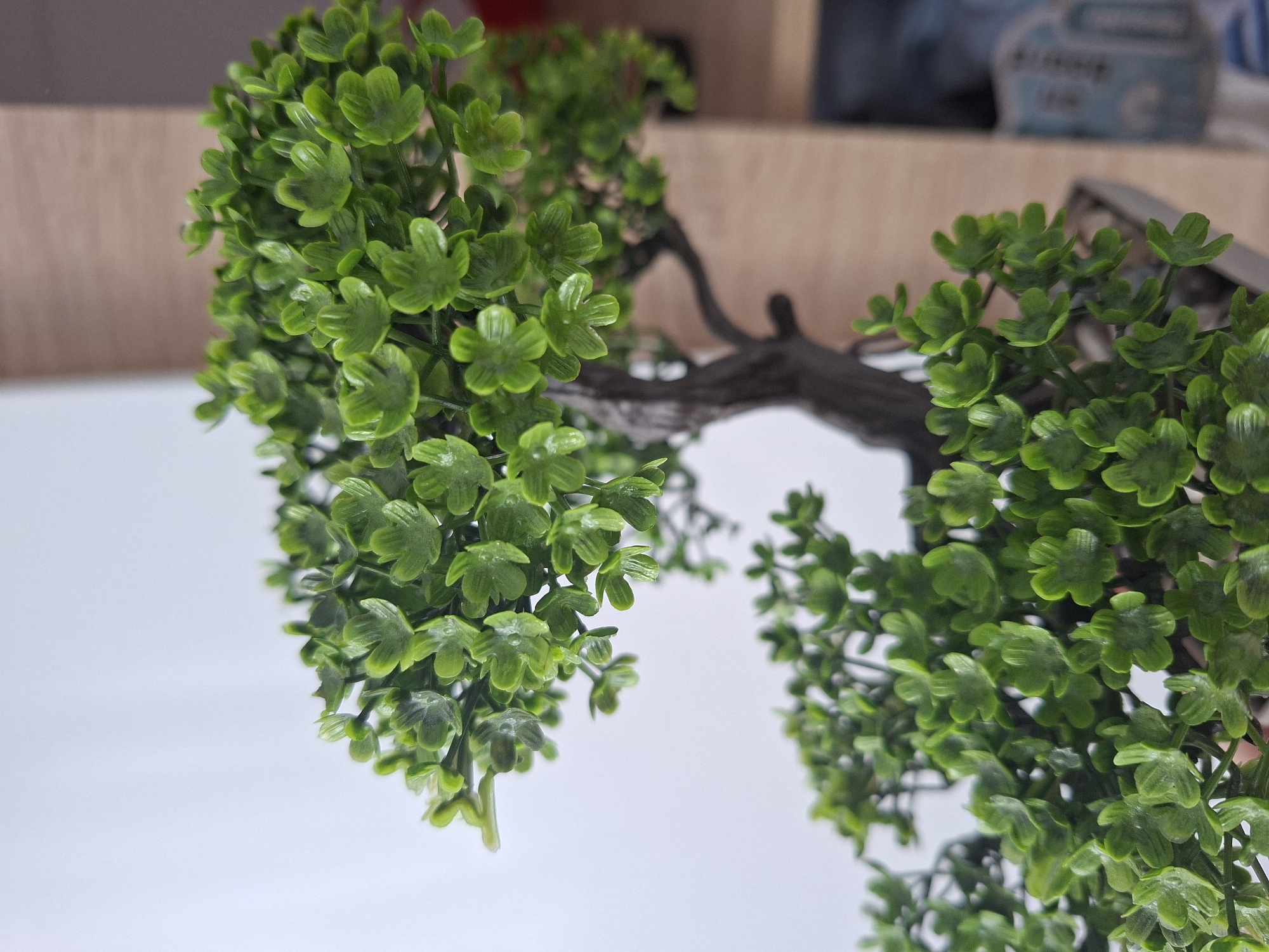 A low-angle close-up shot of an artificial bonsai tree with green leaves and a brown trunk. The background includes a white surface and a blurred wooden shelf with objects. The location, Galabovo, Bulgaria, is not evident from the image.