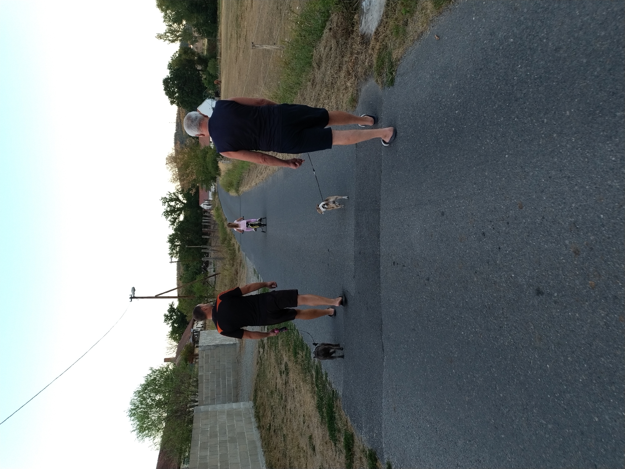 Two men and a young girl are walking on a paved path. The man on the left is wearing a black t-shirt with orange accents and black shorts, and is walking a small grey dog on a leash. The man on the right is wearing a black sleeveless shirt and black shorts, and is walking a small tan and white dog on a leash. The young girl, wearing a pink shirt and white shorts, is riding a pink bicycle in front of them. The scene appears to be in a rural or semi-rural area, with houses, trees, and a field visible in the background. The sky is clear and bright. This location is identified as Dobev, Czechia.