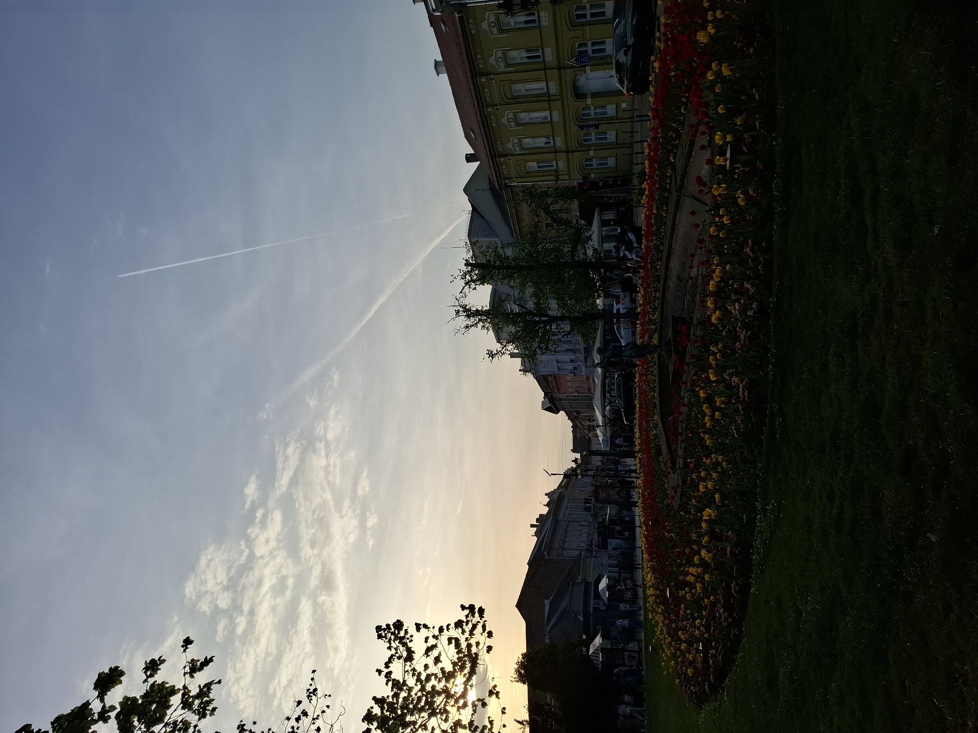 The image presents a vibrant cityscape or urban park scene in Novi Sad, Serbia, captured during the late afternoon or early evening as indicated by the warm, soft light. The upper portion of the frame features a clear sky, transitioning from a light blue to a warmer, hazy glow, with some scattered white clouds. A distinct, long white contrail from an airplane stretches across the sky.
On the left side, a row of multi-story buildings, showcasing traditional European architecture, lines a street. One building stands out with its light yellow-green facade and multiple windows. In the foreground and midground, a lush green lawn is visible, bordered by extensive flowerbeds brimming with numerous red and yellow tulips, providing a bright burst of color. Several trees with green foliage are interspersed throughout the scene, some partially silhouetted against the warm sky.
Along the street adjacent to the buildings, several cars are visible, and numerous people can be seen strolling, walking, or gathered, indicating a moderately busy urban environment. The golden hour light casts long shadows and highlights the buildings and clouds, contributing to a peaceful yet lively atmosphere. There is no visible text discernible in the image.