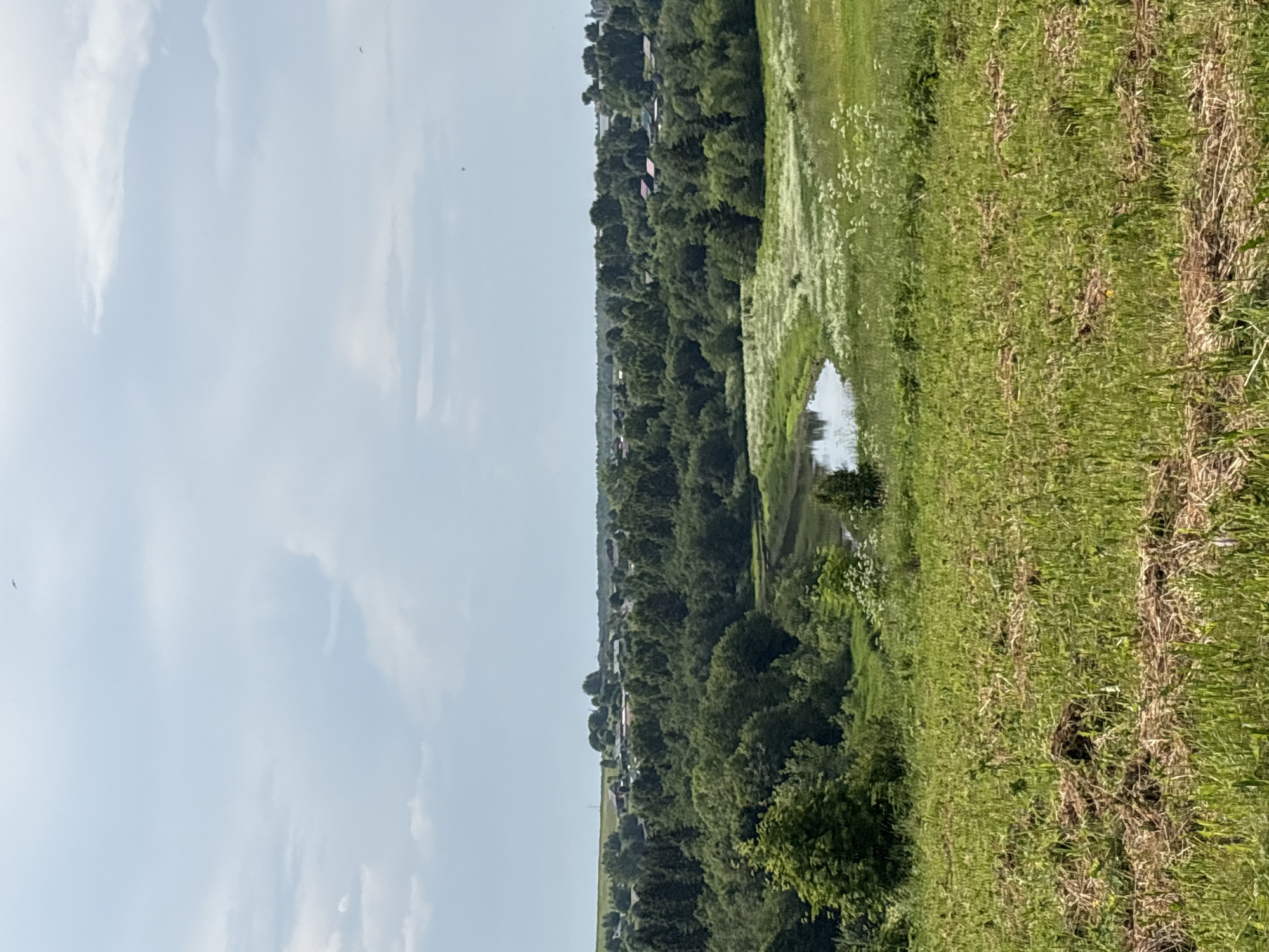 The image depicts a panoramic view of a rural landscape, likely in the vicinity of Kumyon, Russia, under a partly cloudy sky. In the foreground, a mown field with patches of dry grass and green shoots stretches towards a gentle slope. Beyond this, a verdant expanse of trees and meadows unfolds. A meandering river or stream cuts through the middle ground, bordered by lush greenery and scattered white wildflowers. In the distance, a cluster of houses with red roofs forms a small village nestled amongst dense trees. The overall scene conveys a tranquil, bucolic atmosphere of a summer day in the Russian countryside. There are no people visible in the image.