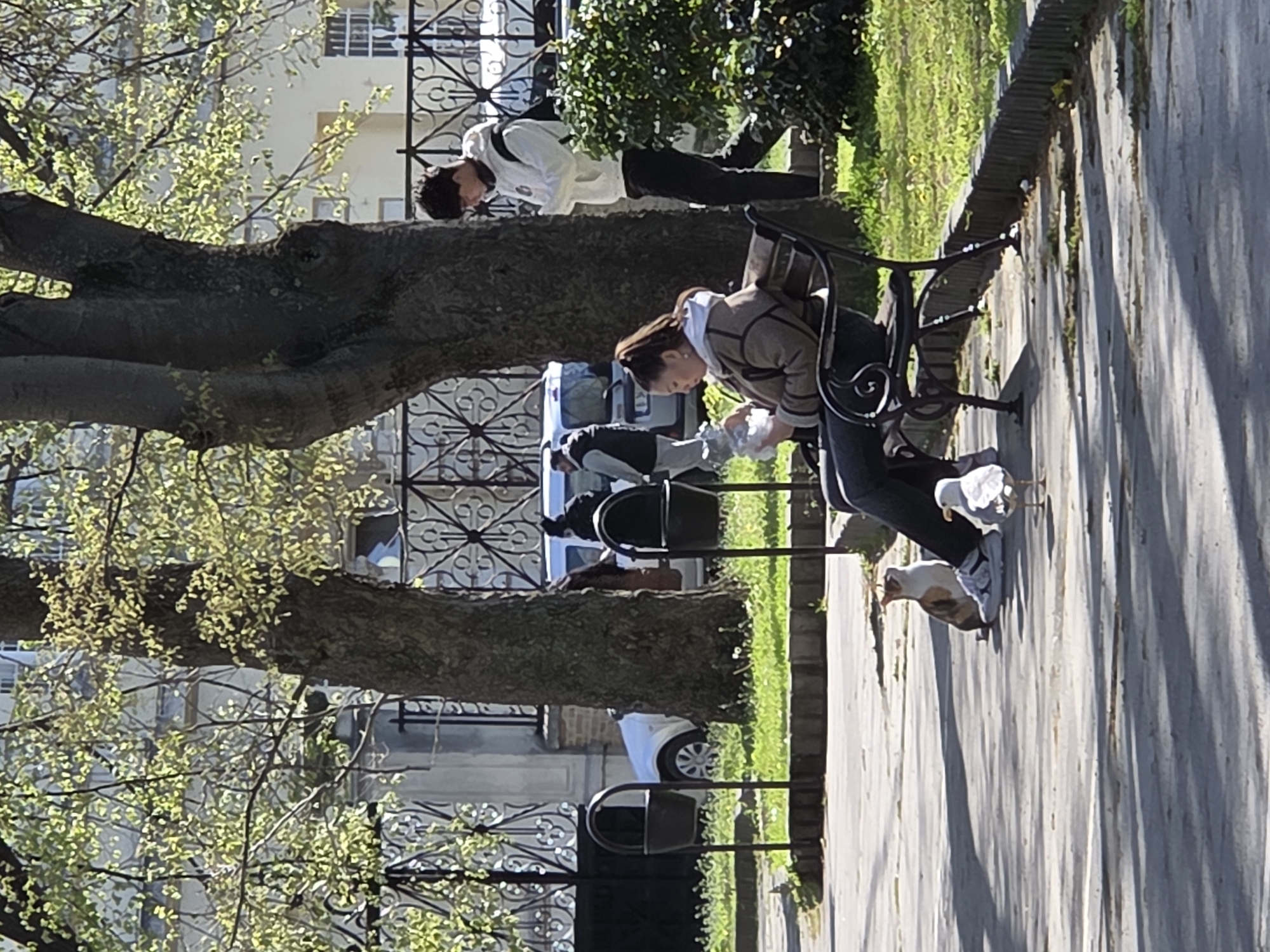 This image, set in Varna, Bulgaria, captures a bright, sunny day in an urban park, likely during springtime given the light green foliage on the trees. The primary focus is on two individuals and a cat.
In the foreground, a woman with dark hair tied back is seated on a dark metal park bench. She is wearing a brown and beige striped jacket over a white hoodie, dark pants, and white sneakers. She is looking down, holding a clear plastic bottle or object in her hands. Adjacent to her feet, a white and brown domestic cat is visible, facing away from the camera, seemingly interacting with the woman or the ground nearby.
Standing behind the bench, slightly to the left, is a man wearing a white long-sleeved top and dark pants. He has dark, curly hair and appears to be looking down or away from the camera. Behind him, large, mature trees with newly budding leaves cast shadows on the paved path.
The background reveals more of the park setting with green grassy areas, a decorative iron fence, and several buildings with visible windows, consistent with an urban environment. A white vehicle, possibly a car or van, is also partially visible behind the fence and trees. Further back, another person or blurred figure can be seen near the vehicle. The strong sunlight casts clear shadows on the paved ground, indicating a bright morning or afternoon. No visible text is discernible in the image.
