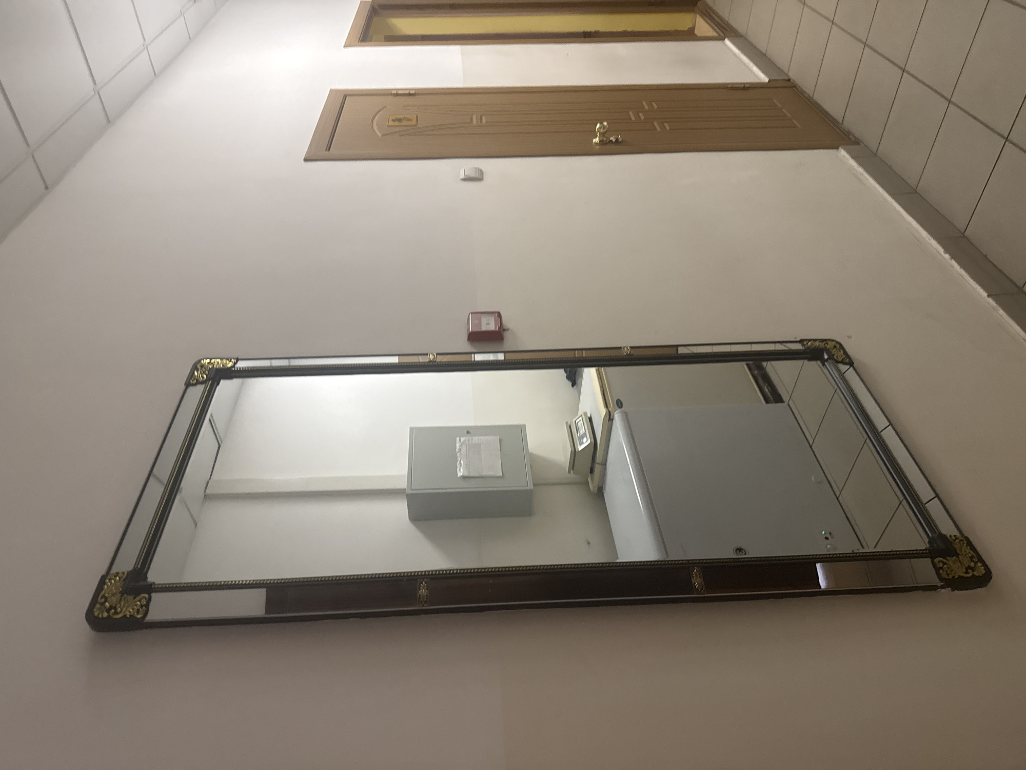 The image depicts an indoor hallway with a large, ornate mirror mounted on a pale pink wall. The mirror reflects a section of the room opposite, revealing a white chest freezer, a gray metal cabinet mounted on the wall, and a digital scale. Further down the hallway, there are two wooden doors, one closed and one slightly ajar, revealing a yellow-toned interior. The floor is tiled with square, light-colored tiles. A red fire alarm is visible on the wall to the left of the closed door. The lighting appears to be from overhead fluorescent fixtures, as evidenced by the ceiling panels. There are no people visible in the image. The scene suggests a functional, possibly institutional or commercial, environment. The specific location in Birobidzhan, Russia cannot be determined from the visual information provided.