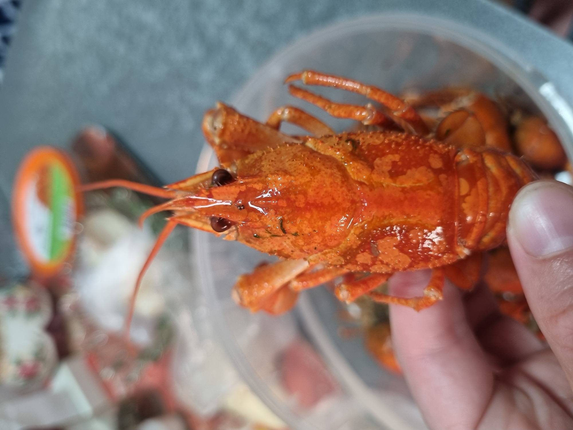 A person is holding a cooked crayfish, which is bright orange and appears to be seasoned with herbs. The crayfish is in the foreground, with its claws and tail visible. The person's fingers are partially obscuring the crayfish. In the background, there is a clear plastic container, possibly holding more crayfish, and other out-of-focus items that suggest a meal or food preparation setting. There are no clear indicators of time of day or weather. The setting is likely indoors, given the presence of food and a container. No visible text is present in the image. The scene is simple and focuses on the visual appeal of the cooked crayfish.