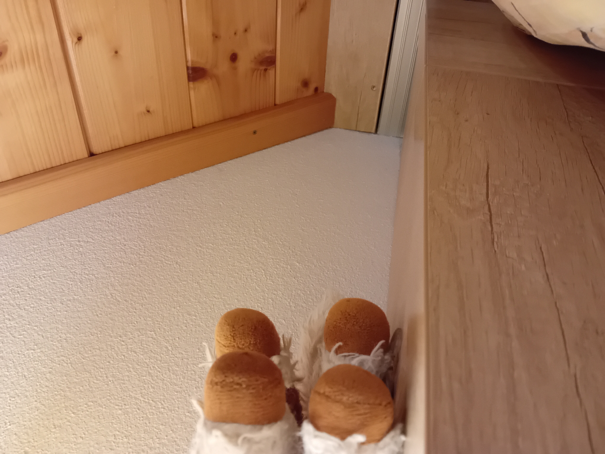 The image shows a close-up of what appears to be the feet of a stuffed animal, possibly a sheep due to the fluffy white material. The feet are round and brown. They are resting on a light-colored wooden surface. In the background, there is a textured white wall and a wooden ceiling or slanted wall constructed of planks. The scene is indoors, likely in a room with slanted architecture. There is no indication of Zuberec, Slovakia, or any specific city location.