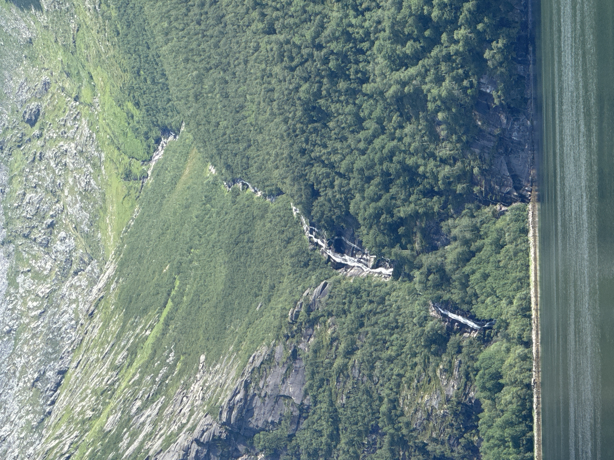 The image displays a steep, tree-covered mountainside adjacent to a calm body of water. The mountain is rugged, with exposed rock faces interspersed with dense green foliage, suggesting a natural, untamed environment. A thin, white ribbon of what appears to be a waterfall or a stream cascades down a section of the mountain, cutting through the greenery. The water on the right side of the image is dark and placid, with subtle ripples or texture indicating movement or depth. The steepness of the terrain and the abundance of trees imply a mountainous or fjord-like setting, consistent with the Inndyr, Norway location context. The lighting suggests it could be daytime, with the sun casting shadows that highlight the contours of the mountain. There are no visible people, objects, text, or specific events taking place; the scene focuses on the natural landscape. The overall impression is one of serene natural beauty and the ruggedness of a mountainous coastal region.