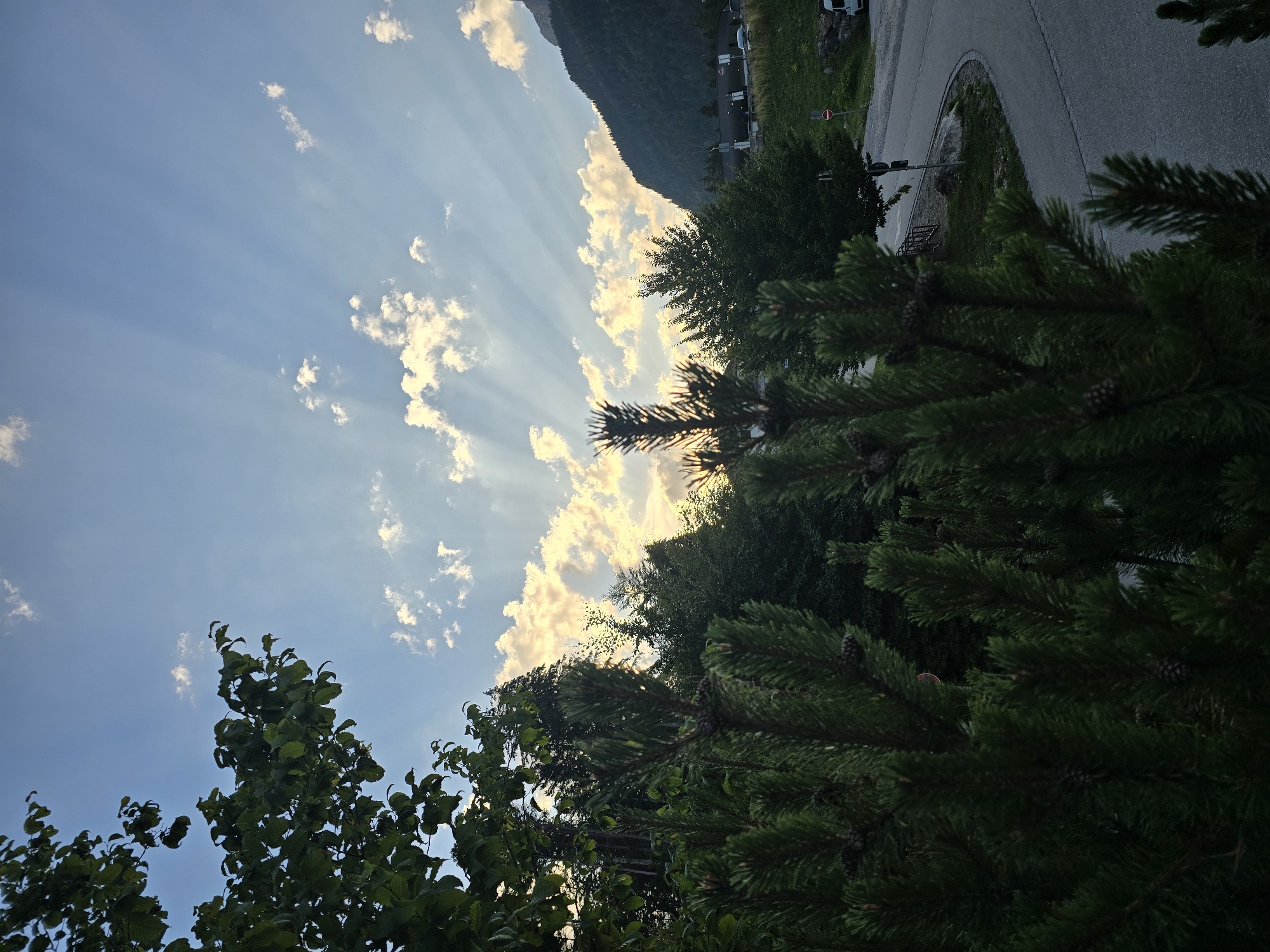 The image depicts a serene natural scene in the vicinity of Grainau, Germany, characterized by dramatic crepuscular rays piercing through scattered clouds. In the foreground, a dense cluster of dark green pine branches with visible cones occupies the lower portion of the frame, partially obscuring the background. Beyond the pine branches, a variety of lush green trees form a thick forest canopy. The sky above is a clear blue, interrupted by streaks of sunlight and scattered white clouds, highlighting the celestial phenomenon. To the right of the frame, a steep, tree-covered mountain slope dominates the background, with a winding asphalt road visible at its base. Several buildings with white roofs are nestled along the mountainside, and a white van is parked on the side of the road. The overall ambiance suggests a peaceful, natural setting, likely during either sunrise or sunset, given the prominent sunbeams. The scene is devoid of any visible people.
