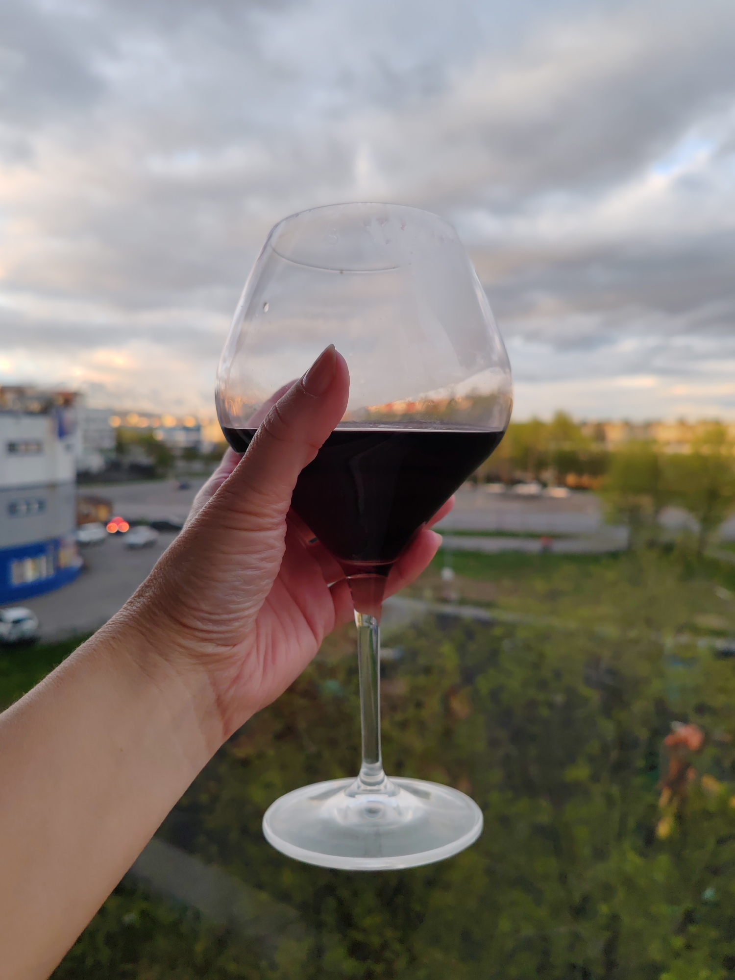 A person's hand, with manicured fingernails, holds a stemmed wine glass filled with red wine. The background is out of focus and depicts a city skyline with buildings, trees, and a cloudy sky. The image appears to be taken from an elevated position, possibly a balcony or window, overlooking an urban environment. The lighting suggests it is late afternoon or early evening. The specific location of Petropavlovsk-Kamchatsky, Russia, is not evident from the visual information within the image itself; this detail is external context.