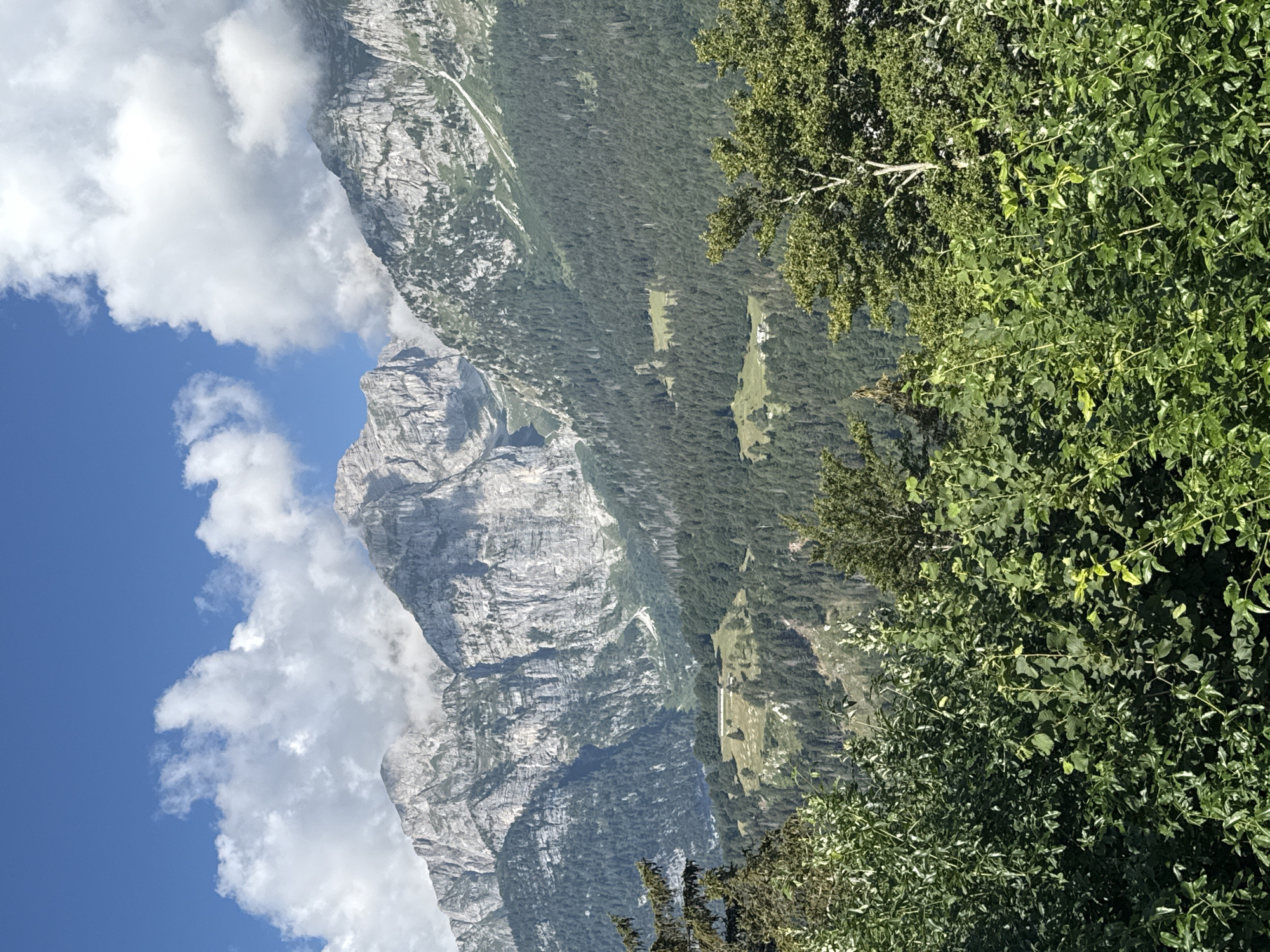 The image shows a mountainous landscape with a forest and some scattered buildings. The mountains are rocky and rugged, with snow on the peaks. The forest is dense and green, with tall evergreen trees. There are a few buildings visible on a hillside, appearing to be houses or chalets. The sky is blue with some white clouds. The foreground is filled with lush green foliage, suggesting it is a bright, sunny day. The scene likely depicts a view from a higher elevation looking down upon a valley.