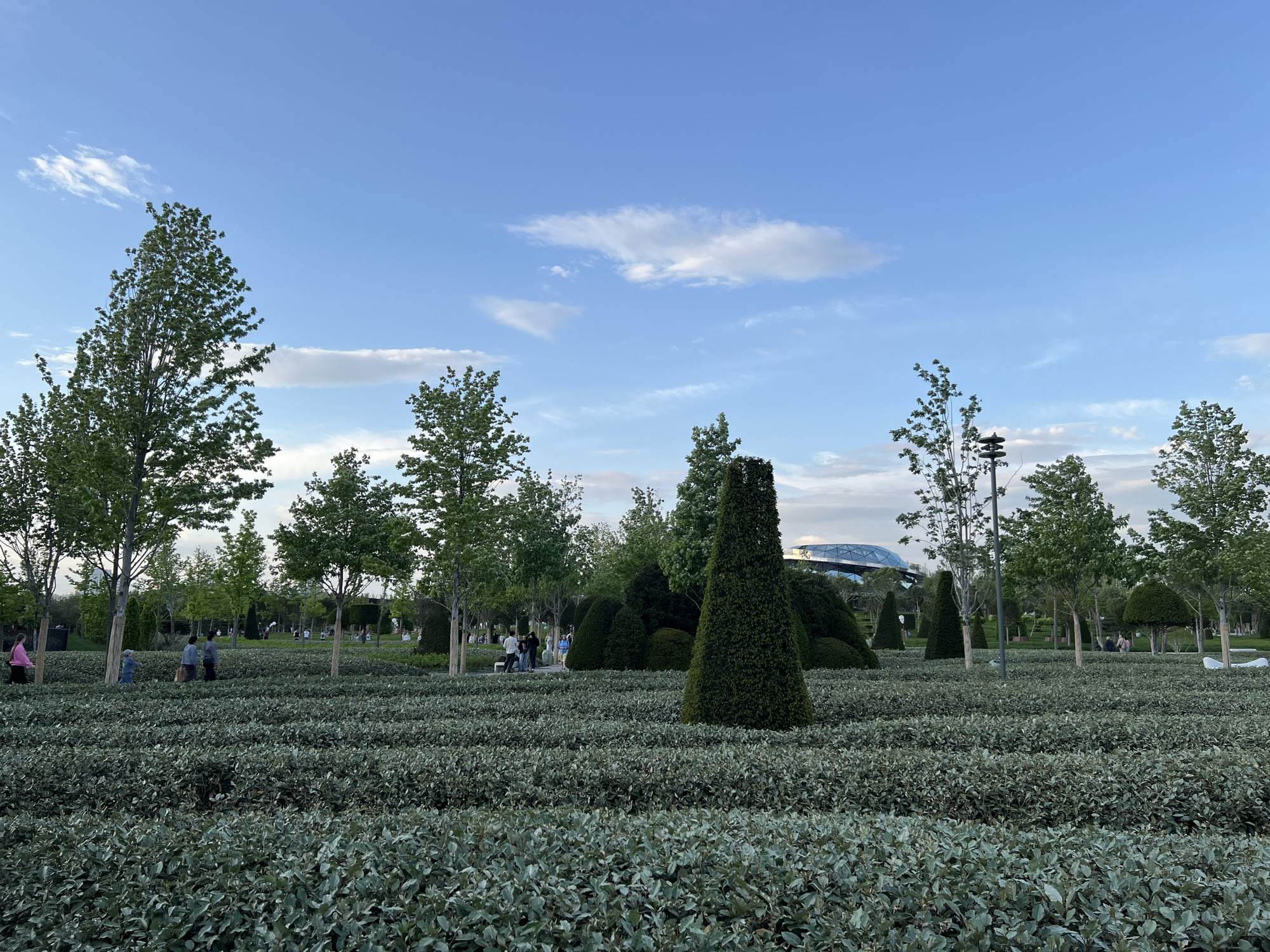 The image depicts a park in Krasnodar, Russia. There are rows of low hedges that form geometric patterns in the foreground. Interspersed among the hedges are trees with thin trunks and green foliage. In the midground, there are cone-shaped topiaries and groups of people walking or sitting. In the background, there is a modern building with a glass dome and more trees. The sky is blue with scattered clouds.
