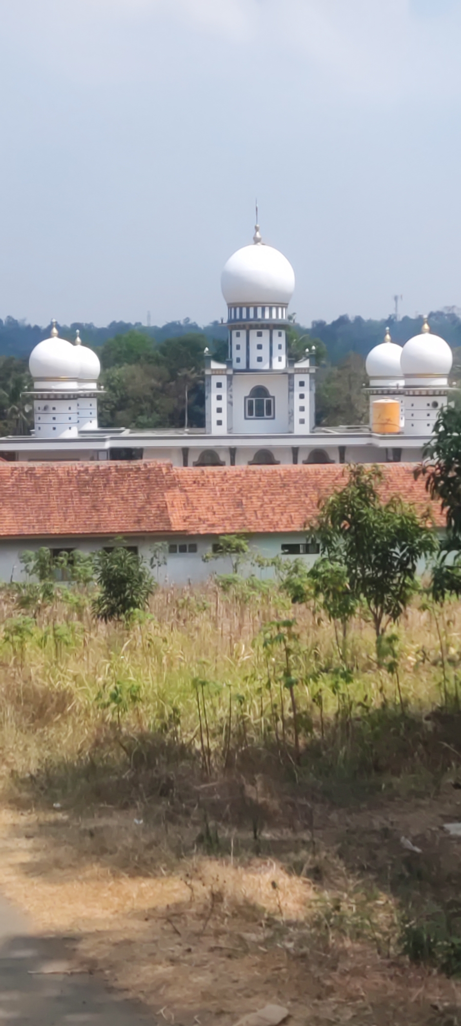 The image shows a mosque with multiple white domes and towers, set against a backdrop of trees and a hazy sky. The mosque has a red-tiled roof and is surrounded by vegetation. The scene is likely a daytime shot, with natural lighting. The location in Panongan Lor, Indonesia, is noted.