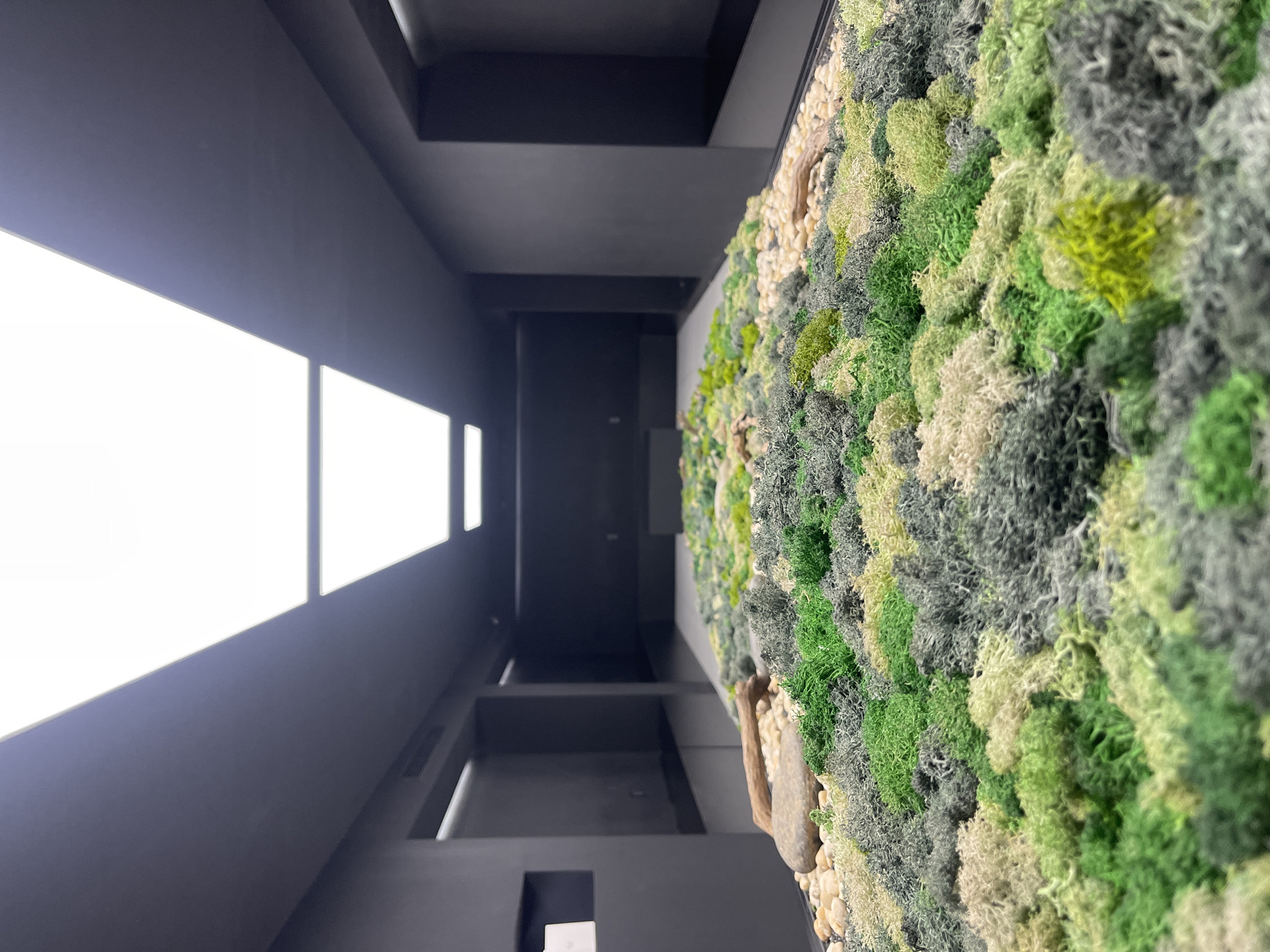 The image displays a modern indoor architectural space, likely located in Thủ Đức, Vietnam, characterized by a bold contrast between natural elements and minimalist design. On the right side of the frame, a vibrant moss wall serves as a prominent decorative feature. This wall is composed of various shades of preserved moss, ranging from bright lime green and forest green to muted greys and off-white, creating a rich, textured tapestry. Integrated into the lower section of the moss wall are small, light-colored pebbles and a piece of natural driftwood, enhancing its organic appeal.
To the left, a sleek, dark grey or black corridor extends into the background. The walls and ceiling of this hallway are uniformly dark, providing a stark contrast to the brilliant white light panels integrated into the ceiling. These long, rectangular luminaires emit a bright, artificial light that illuminates the space and highlights its contemporary design. Subtle architectural details such as beams, ledges, and what appears to be an air vent are visible against the dark surfaces. The floor mirrors the dark palette of the walls and ceiling, maintaining a consistent minimalist aesthetic.
The scene is devoid of any people or specific activity, focusing solely on the interior design. The time of day is indeterminate due to the reliance on artificial lighting. The combination of the biophilic moss wall and the dark, structured corridor creates an atmosphere that is both tranquil and sophisticated, blending natural elements with modern urban styling. There is no visible text in the image.