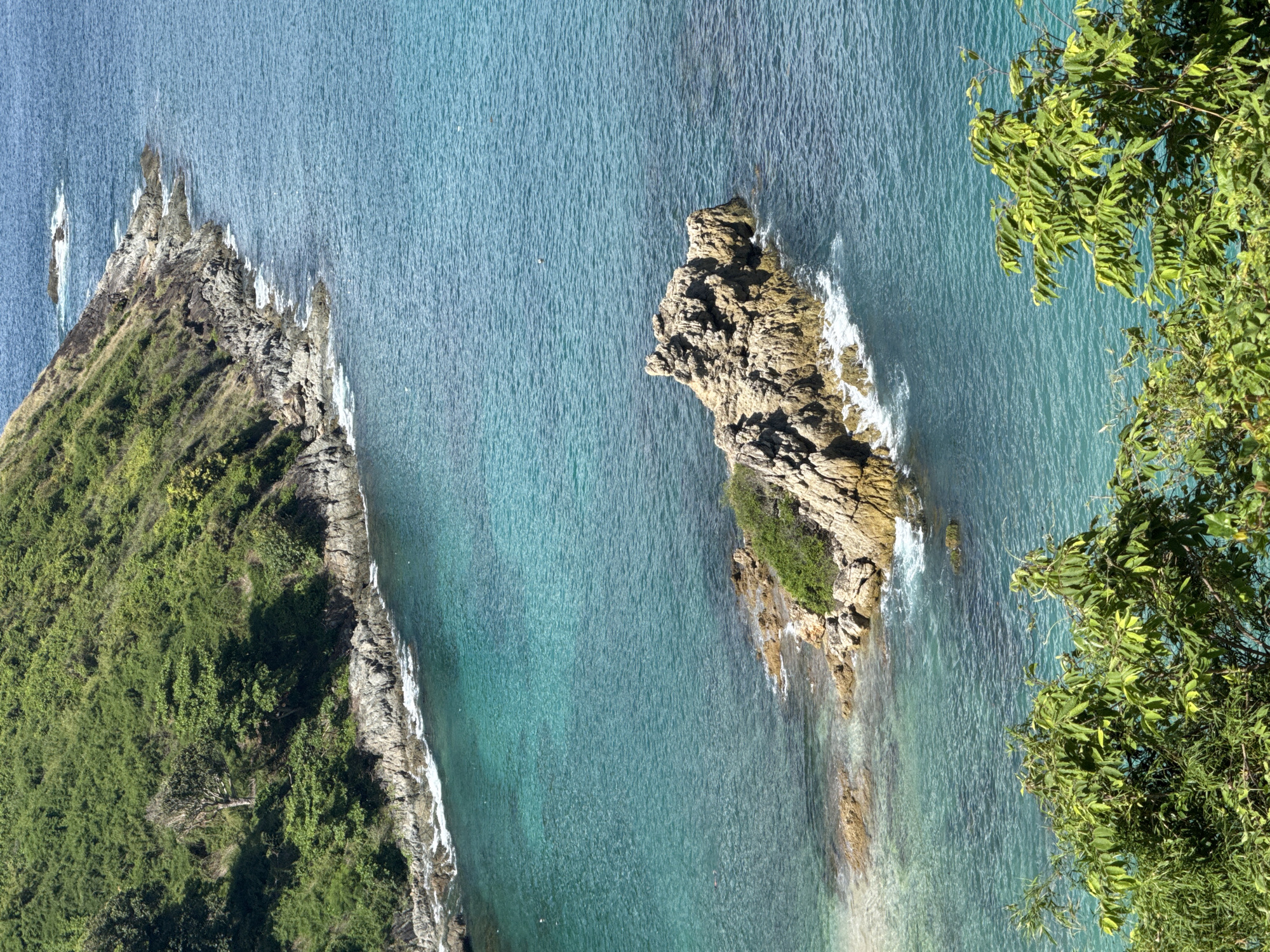 A high-angle shot captures a tropical coastline with lush green vegetation and clear turquoise water. In the foreground, the branches of a dense green tree obscure the lower edge of the frame. The middle ground features a rocky outcrop jutting out of the water, surrounded by small waves. The background reveals a steep, tree-covered hillside that curves along the coastline. The ocean exhibits a gradient of blues, from a lighter turquoise in the shallows to a deeper blue further out. The rocky shoreline is sparsely covered with vegetation. The scene is bathed in bright sunlight, casting subtle shadows.