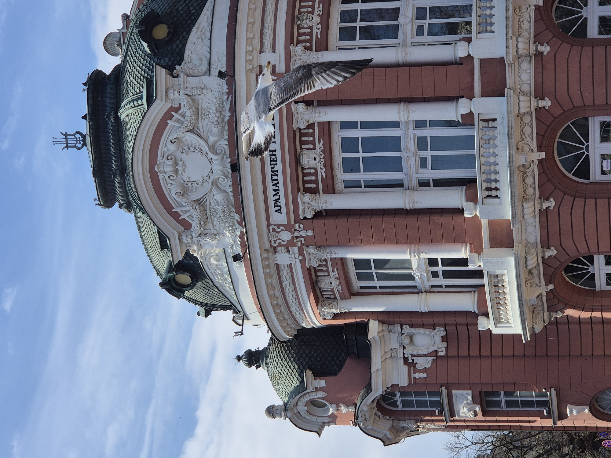 The image depicts a low-angle, upward-facing view of the Drama Theater in Varna, Bulgaria, partially obscured by a seagull in mid-flight. The theater's architecture is characterized by a salmon-colored facade, white decorative moldings, and a distinctive green tiled dome topped with ornaments. The windows are rectangular with white frames and columns. The sky is blue with wispy clouds visible in the background.