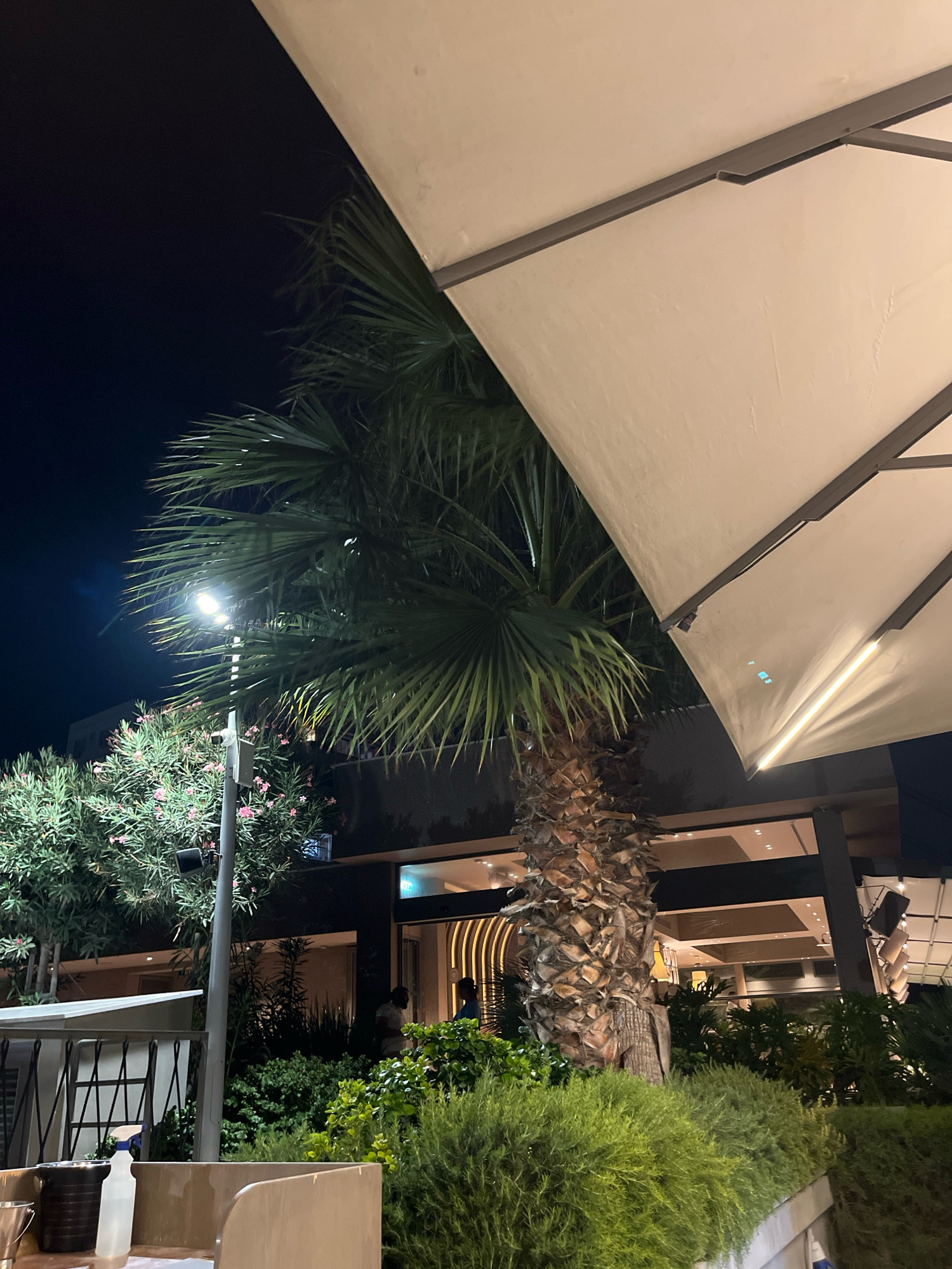 The image depicts an outdoor scene at night, likely in the Agios Tychona Community, Cyprus. A large palm tree with a textured trunk and green fronds is prominently featured, partially obscured by a large, off-white umbrella. The umbrella has built-in LED lighting along its edge, casting a warm glow. In the background, a modern building with dark framing and illuminated interiors is visible, suggesting it might be a restaurant or commercial establishment. A street lamp with a bright light is positioned near the palm tree. Dense green bushes and flowering shrubs with small pink flowers are visible in the foreground and around the base of the palm tree. A few individuals are dimly visible in the background near the building entrance. The overall atmosphere is that of a well-lit, outdoor dining or gathering space at night.