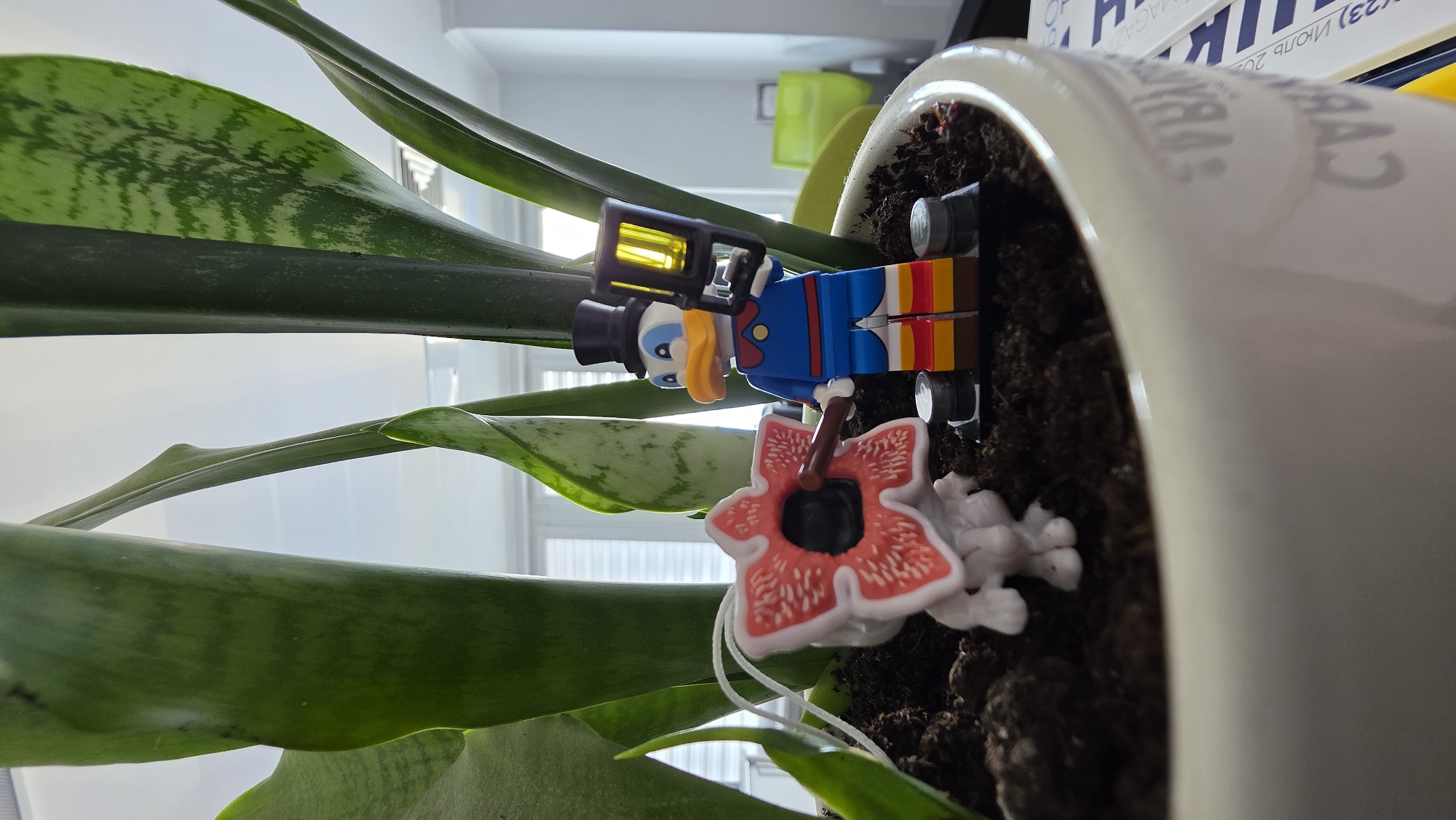 In the foreground, a white ceramic pot contains dark soil and a potted snake plant. Two small figures are placed in the soil: a white, red, and black Demogorgon figure from Stranger Things and a Lego figure of Donald Duck wearing a top hat, blue jacket, and red and yellow striped pants, holding a lantern. The Demogorgon has a small brown rod protruding from its mouth. In the background, out-of-focus, are bright white blinds, suggesting an indoor setting. The presence of a potted plant and the lighting suggest this scene is likely indoors, possibly in an office or residential space. No specific location in Brest, Belarus is indicated by the visual elements.