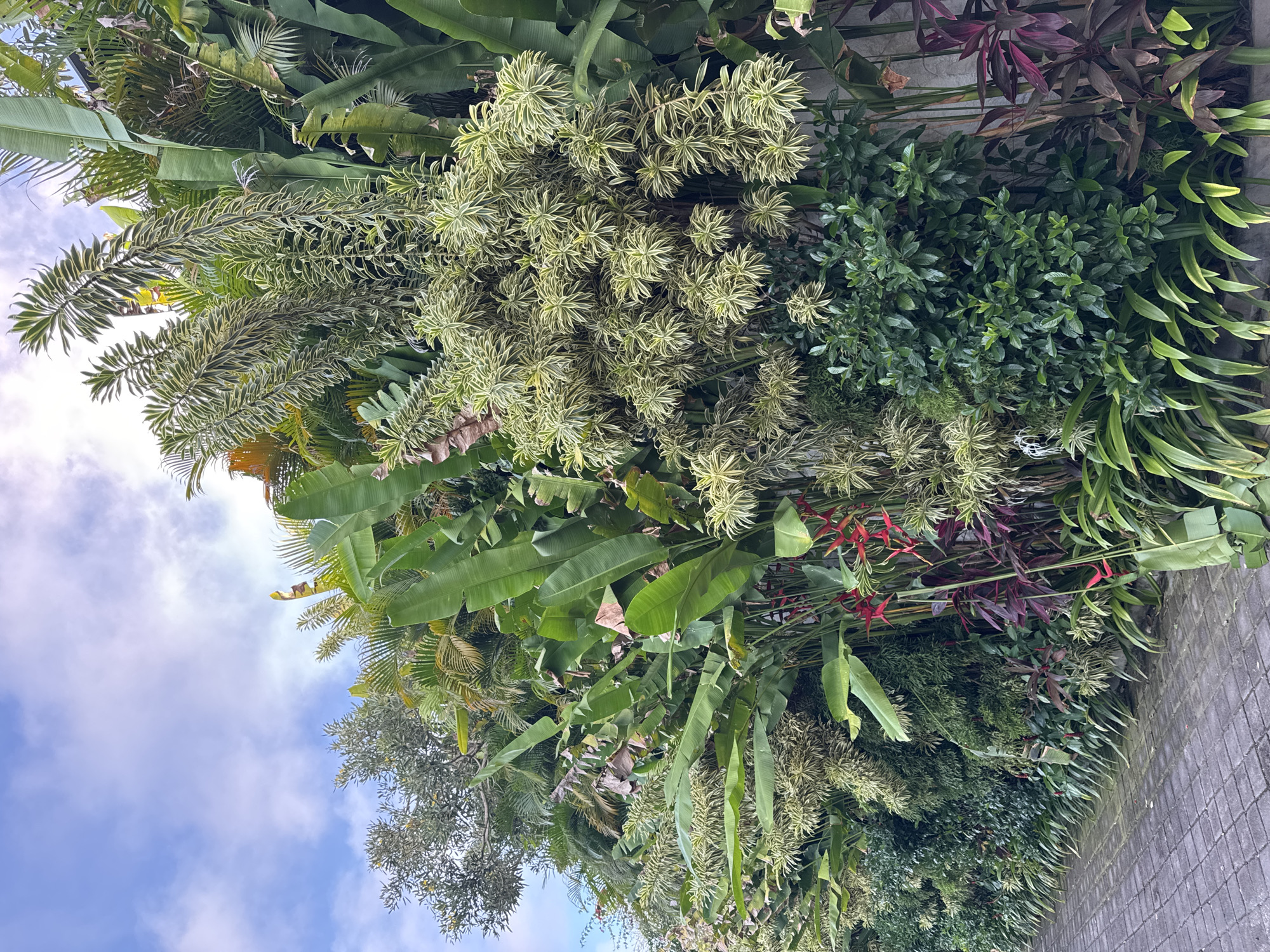 The image depicts a lush vertical garden in Kuta Selatan, Indonesia. It is comprised of various plant species including banana trees, several types of leafy green plants, plants with variegated green and white foliage, and red flowering Heliconia. The garden is located against a grey brick wall and is partially visible against a blue sky with white clouds.