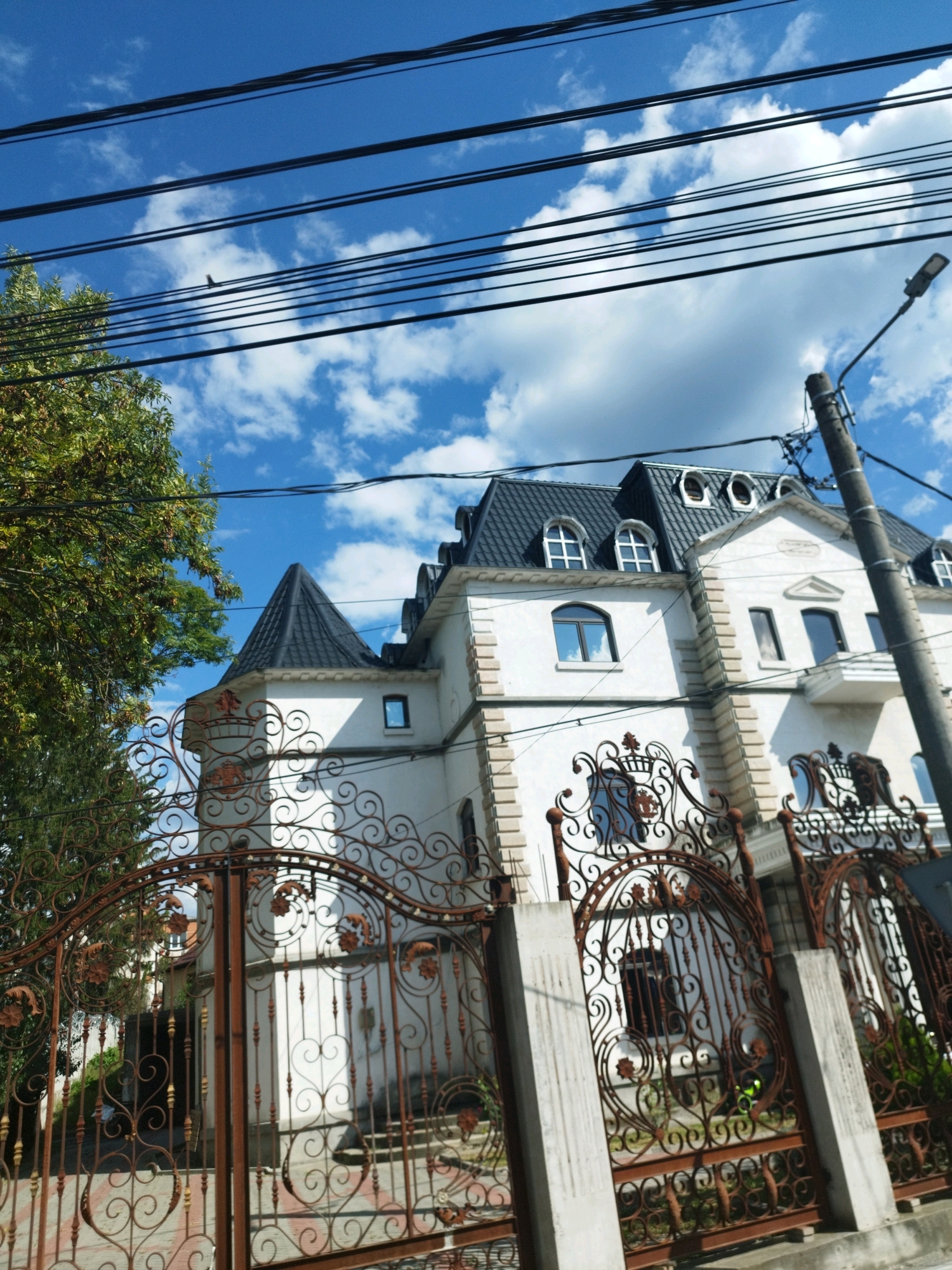 An ornate, wrought-iron gate with a rust patina stands in the foreground, partially obscuring a white, multi-story building with a dark, mansard roof. The building features arched windows and a decorative crest above the gate. A large tree with green foliage is visible to the left of the building. Overhead, a series of power lines crisscross the bright blue sky, which is dotted with fluffy white clouds. A bird is perched on one of the power lines. A concrete lamppost with a modern light fixture is on the right side of the frame. This scene is located in Curtea de Argeș, Romania.