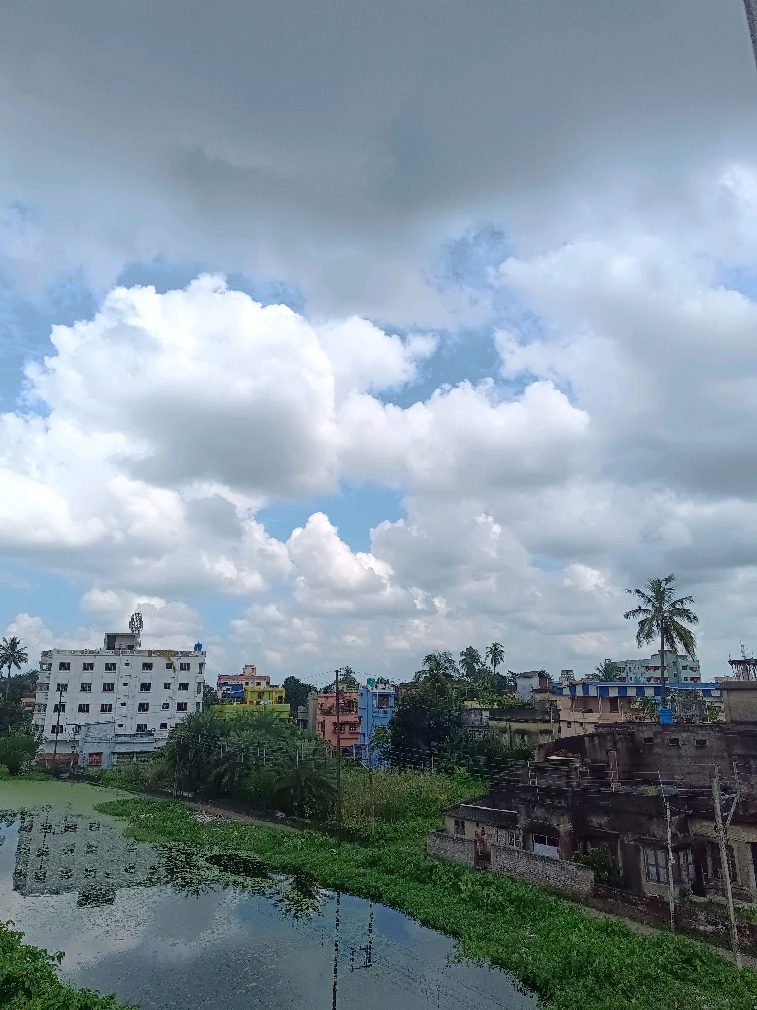 This is an aerial photograph taken from a high vantage point, looking over a mixed urban and natural landscape in Kamarhati, India. The scene is dominated by a large body of water in the foreground, likely a pond or canal, covered in a dense layer of green aquatic plants, with reflections of the sky and surrounding buildings visible on its surface.
To the left of the water, a multi-story white building with numerous windows stands prominently. Further back, a cluster of other buildings of varying sizes and colors, including some with vibrant yellow and pink facades, are visible. Palm trees and other greenery are interspersed among the structures, contributing to a tropical or sub-tropical feel. A single mature palm tree stands out on the right side of the frame, near a cluster of darker, older buildings.
The sky above is a mix of blue patches and large, fluffy white clouds, with some darker, more overcast cloud formations suggesting a change in weather. Power lines and poles are visible throughout the scene, indicating an active urban environment. No people are discernable in the photograph. The overall impression is one of a densely populated area where urban development coexists with natural water features and vegetation under a dynamic sky.