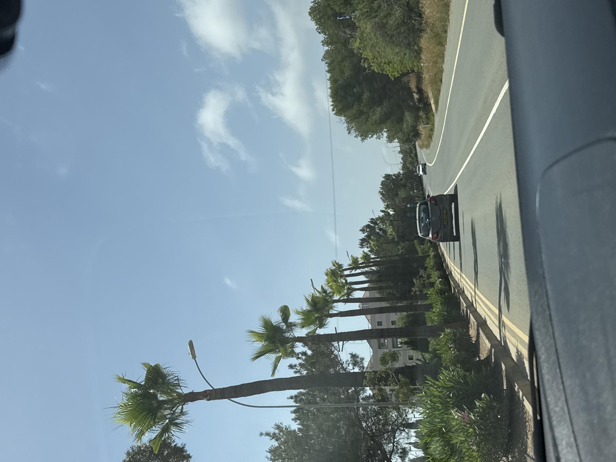 The image shows a view from inside a moving vehicle driving on a road lined with palm trees. The location is Ayia Napa, Cyprus, as indicated by the landscape, road markings, and the presence of palm trees, which are commonly found in this region. A light blue sky with wispy clouds is overhead. The road has double yellow lines on the right side, indicating a restriction on overtaking. There is a car ahead on the road and the interior of the vehicle from which the photograph was taken is visible on the right side of the image. A building is visible behind the trees.