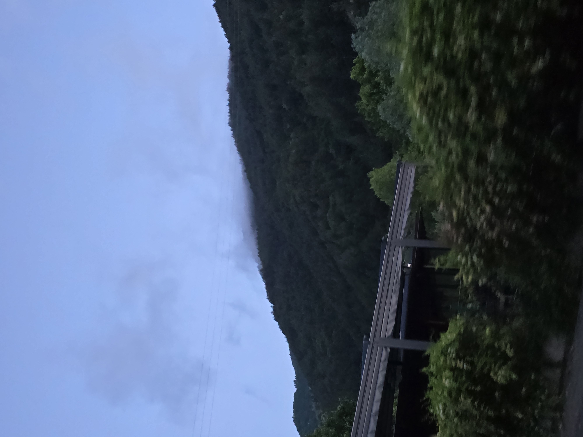 The image, presented with a vertical orientation (rotated 90 degrees counter-clockwise), captures a tranquil landscape scene. When viewed correctly, a vast, heavily forested mountain range dominates the left side of the frame, its dark green foliage suggesting dense tree cover. A subtle layer of mist or low cloud hovers along the mid-slope of the mountain, merging with the pale blue, overcast sky that fills the upper right portion of the image.
Thin, dark lines, resembling power or utility lines, are visible stretched across the upper-mid-left area, against both the sky and the distant mountain.
In the right foreground and midground, there is a structure that appears to be part of a wooden or metal pergola or patio roof, characterized by its dark support beams and lighter-toned covering. Adjacent to this structure and extending further right is a dense mass of vibrant green foliage, likely a hedge or a cluster of trees, which adds a foreground element to the natural backdrop. The soft, diffused lighting throughout the scene indicates either early morning dawn or late evening dusk. There is no discernible activity or visible text in the image.