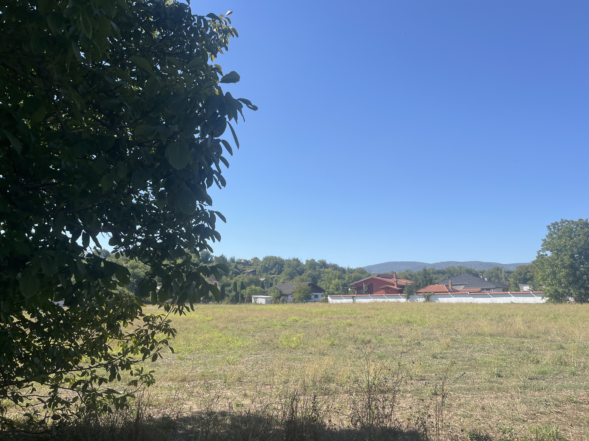 In the foreground of the image, a large, leafy tree casts a shadow across dry, overgrown grass. Beyond the grassy field, a line of houses with red-tiled roofs and white walls stretches across the middle ground. The houses are nestled against a backdrop of green, tree-covered hills. The sky above is a clear, bright blue. The scene depicts a rural or suburban area on a sunny day.