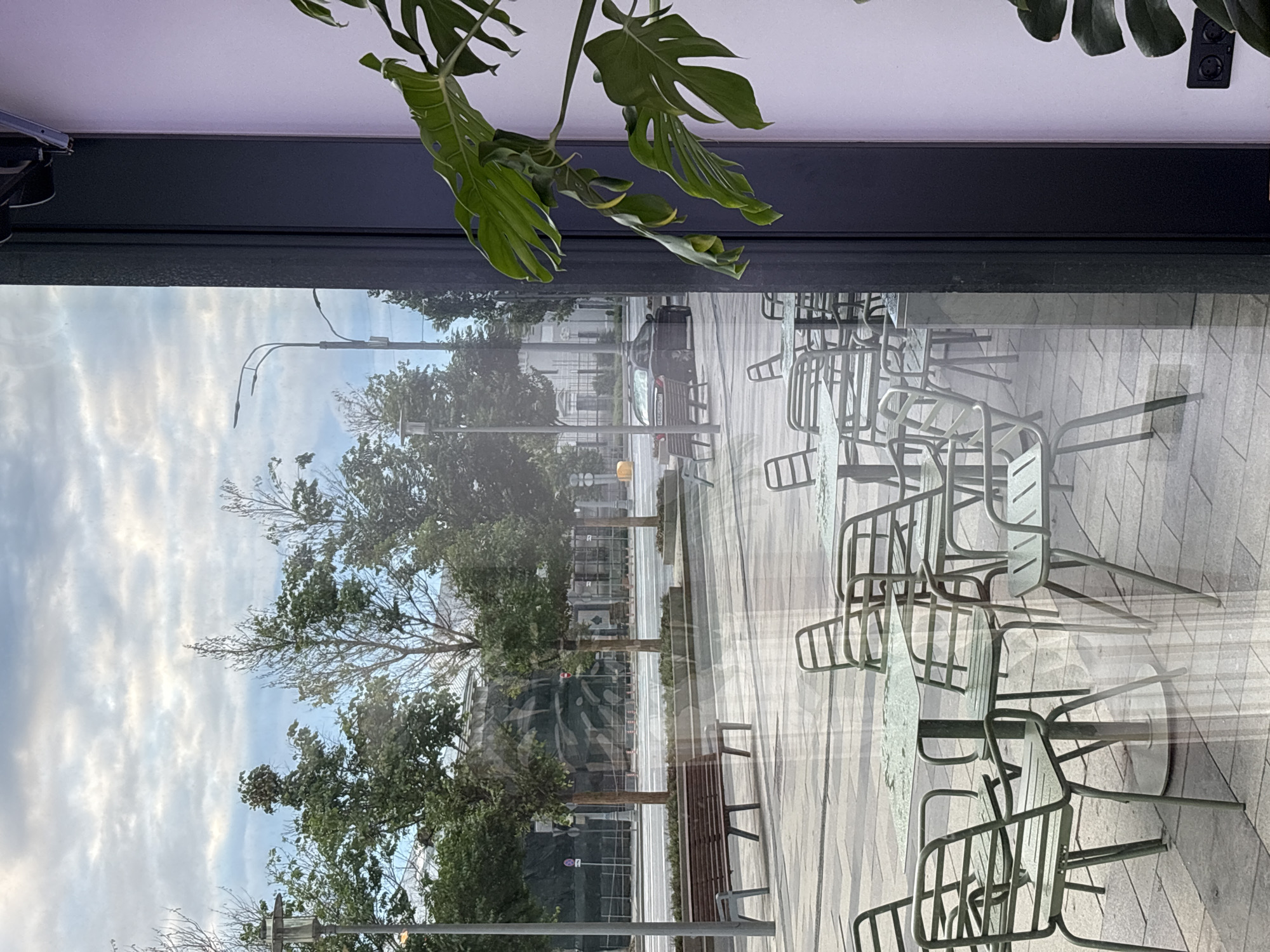 This is a photograph taken through a glass window, likely from a cafe or restaurant, looking out onto a city street in Moscow, Russia. The scene is a reflection of the exterior superimposed on the interior, creating a slightly distorted view.
In the foreground, through the glass, a set of empty, light green metal cafe tables and chairs are visible. They are arranged on a paved patio area.
Beyond the cafe seating, the street scene is revealed. Trees line the sidewalk, their leaves are green and full, suggesting it is either late spring or summer. There are streetlights and a brown wooden bench with a metal frame. Further back, there is a street with cars and buildings. The sky above is partly cloudy.
On the right side of the image, a large, lush green monstera plant with large, fenestrated leaves is positioned indoors, partially obscuring the view of the exterior. A section of a purple wall and a dark gray frame are also visible on the right, indicating the interior space from which the photo is taken. Two black electrical outlets are mounted on the purple wall.