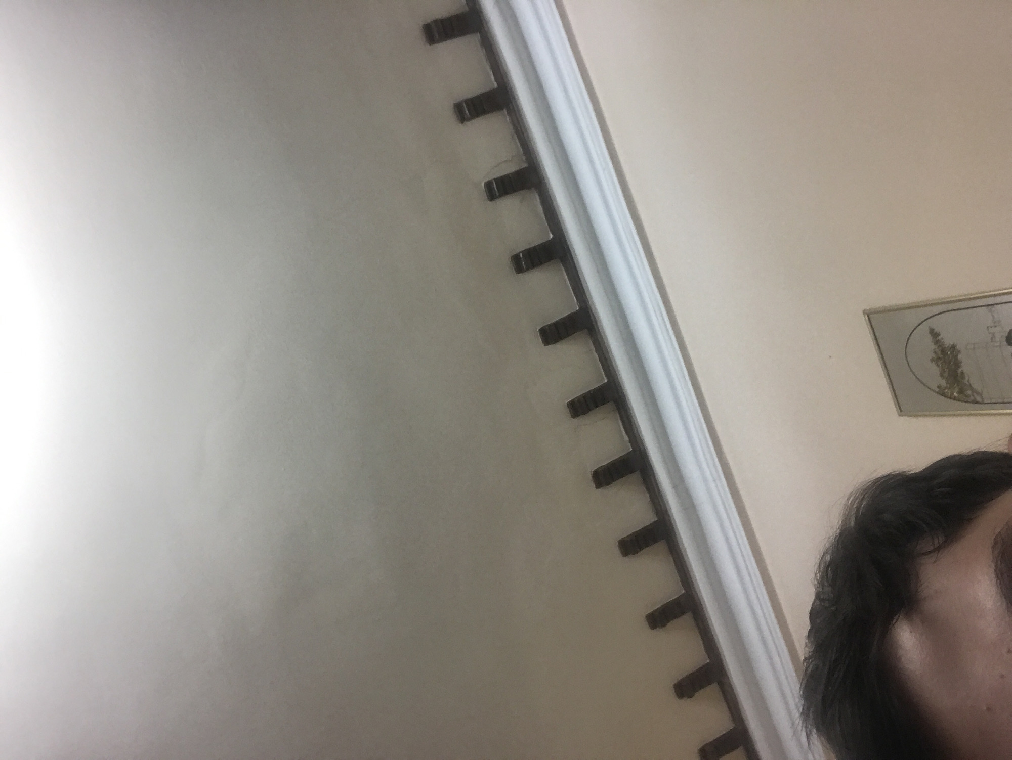 The image shows a portion of a wall with decorative molding near the ceiling. The wall is painted a light beige color. A person's head and hair are visible in the lower right corner of the image, partially obscuring a framed picture on the wall. The molding is white and has protruding, dark brown elements at regular intervals along its length. The location is unknown.