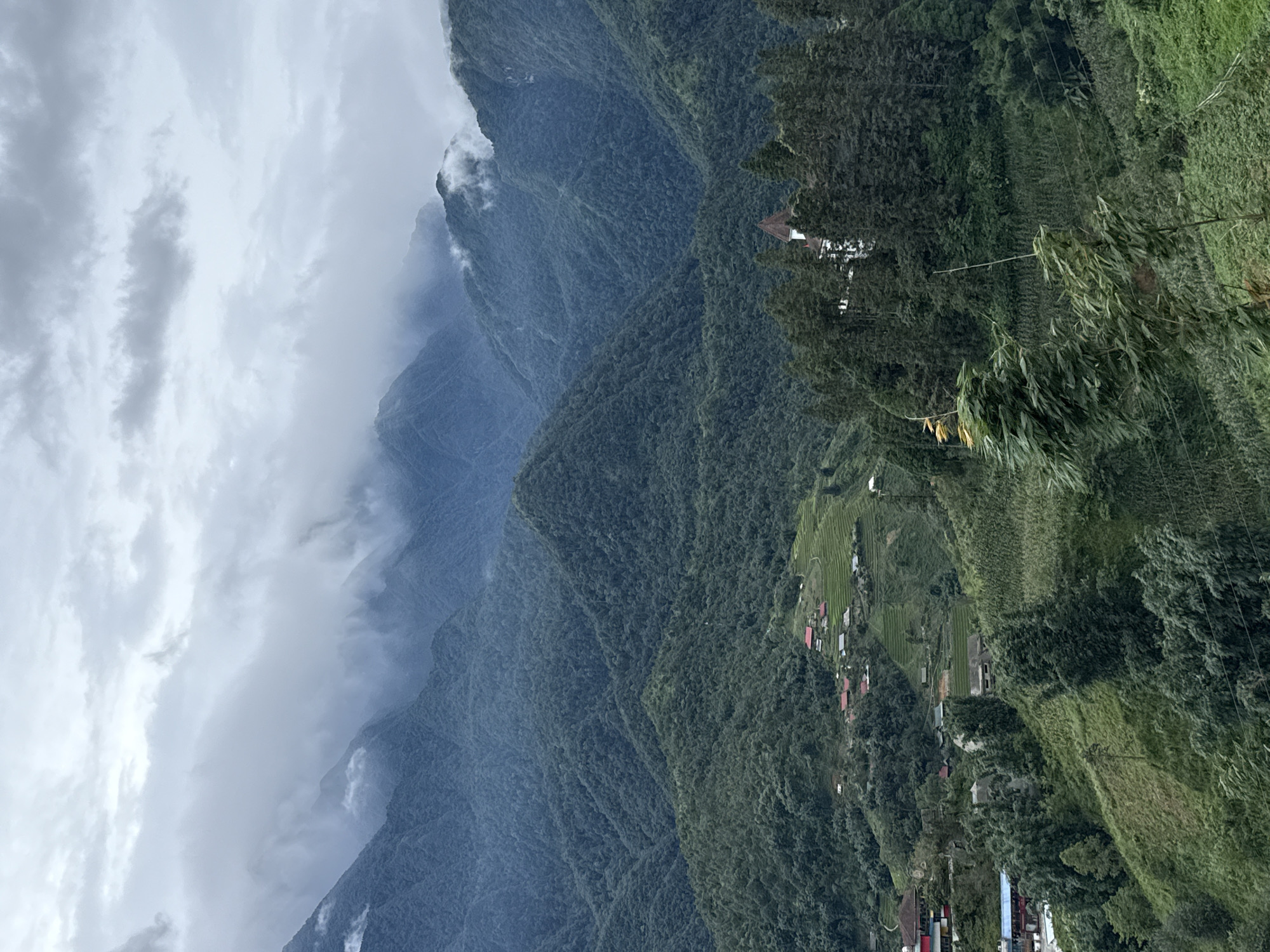 The image depicts a panoramic view of a mountainous landscape in Sa Pa Ward, Vietnam. The scene is dominated by lush green mountains covered in dense vegetation, with layers of rolling hills receding into the distance. The sky is overcast with dramatic clouds, some of which are partially obscuring the peaks of the mountains, creating a mystical and atmospheric effect.
In the foreground and mid-ground, human settlements are visible, integrated into the terraced hillsides. These include clusters of houses with red roofs, some appearing to be small villages. Patches of terraced fields, likely rice paddies, are also present, showcasing the agricultural landscape.
A prominent structure, possibly a resort or a large building with a distinctive white facade and a reddish-brown roof, stands amidst a dense cluster of tall, dark green pine trees on a hillside. The architecture suggests a European influence.
The lower part of the image shows a steep, vegetated slope with various types of plants, including bamboo stalks that are swaying in the wind, indicated by the blurred motion of their leaves. Power lines are also visible, crossing the landscape. The overall impression is one of a remote, scenic, and cultivated mountainous region.
