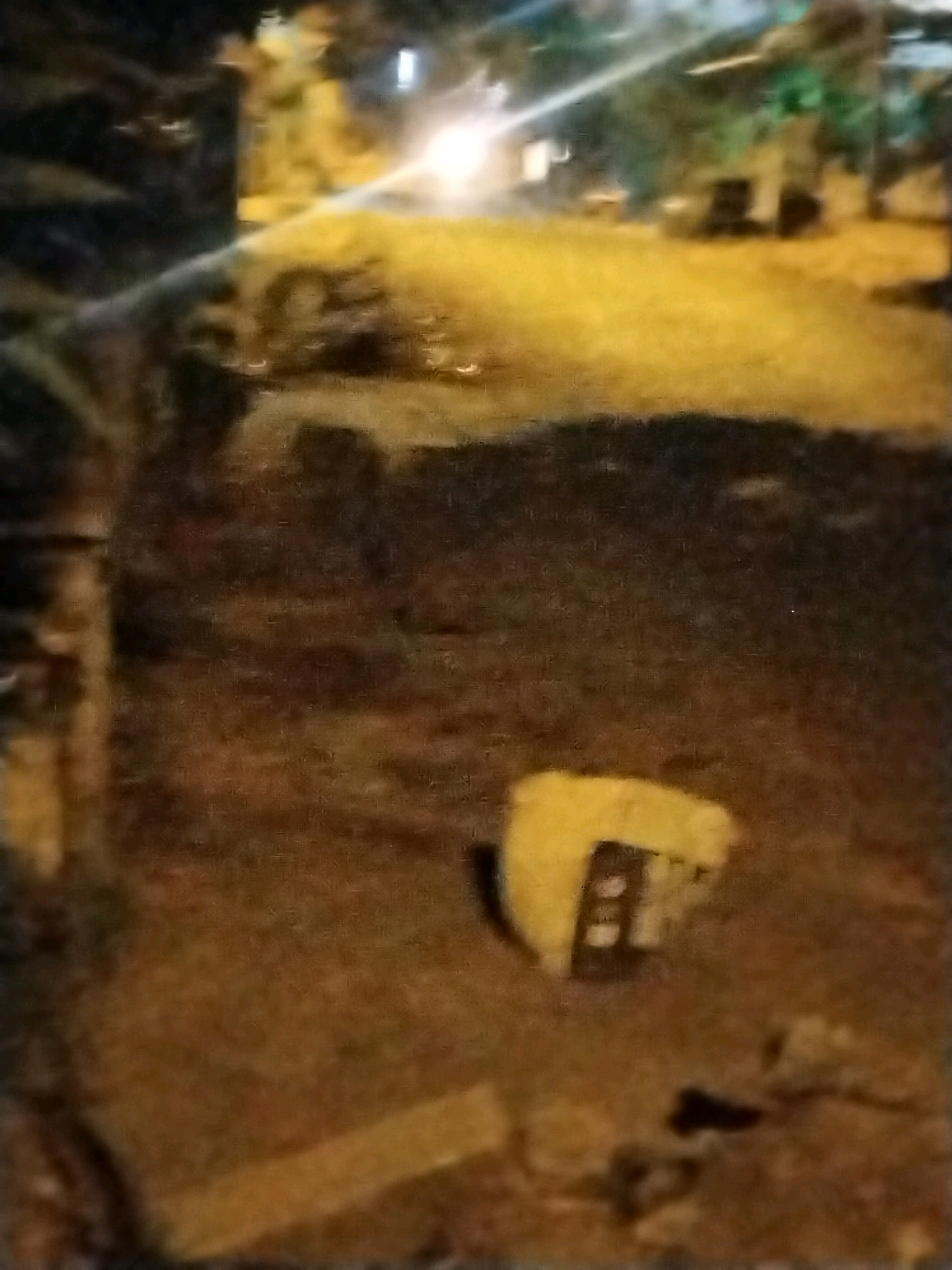 The image depicts an outdoor scene at night in a location that appears to be Kuripansari, Indonesia. The ground is dirt and grass. In the foreground, to the right, is a yellow object that resembles a bucket or container, with some darker markings on it. Further back, there is a yellow-toned area that could be a paved surface or illuminated ground, with some blurred figures and structures in the background, including what appears to be a brightly lit object or vehicle. The lighting suggests artificial illumination, possibly from streetlights or buildings, casting a yellowish hue over the scene. There are no visible people or animals in the frame, and no specific actions or interactions are observable. The overall impression is one of a dimly lit, somewhat unkempt outdoor space at night.