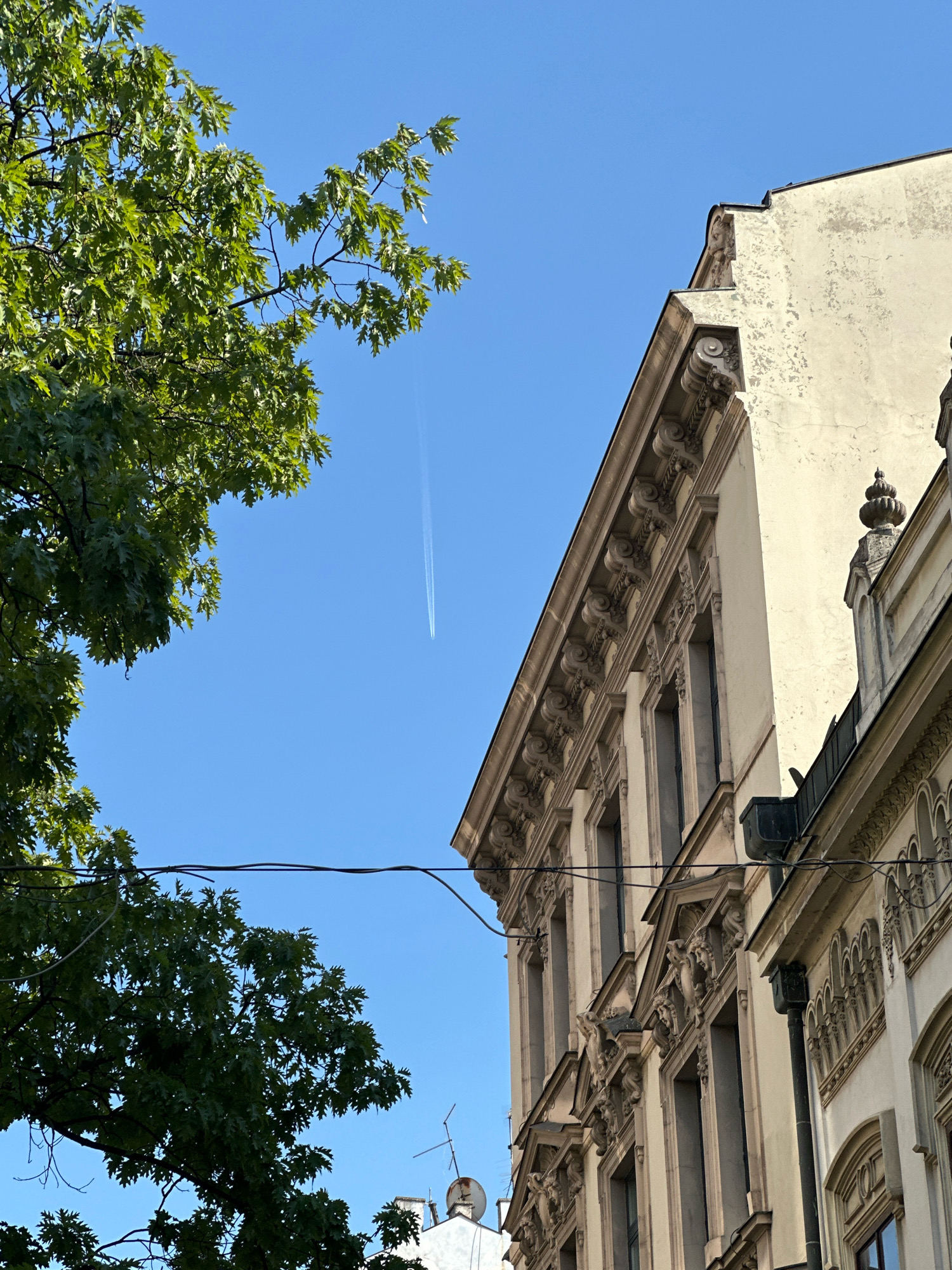 The image shows a clear blue sky with a contrail from an airplane. In the foreground, a tree with green leaves is visible on the left, and the ornate facade of a building is on the right. The building appears to be old, with decorative architectural elements above the windows. The image was taken in Belgrade, Serbia. The scene is calm and devoid of human activity.