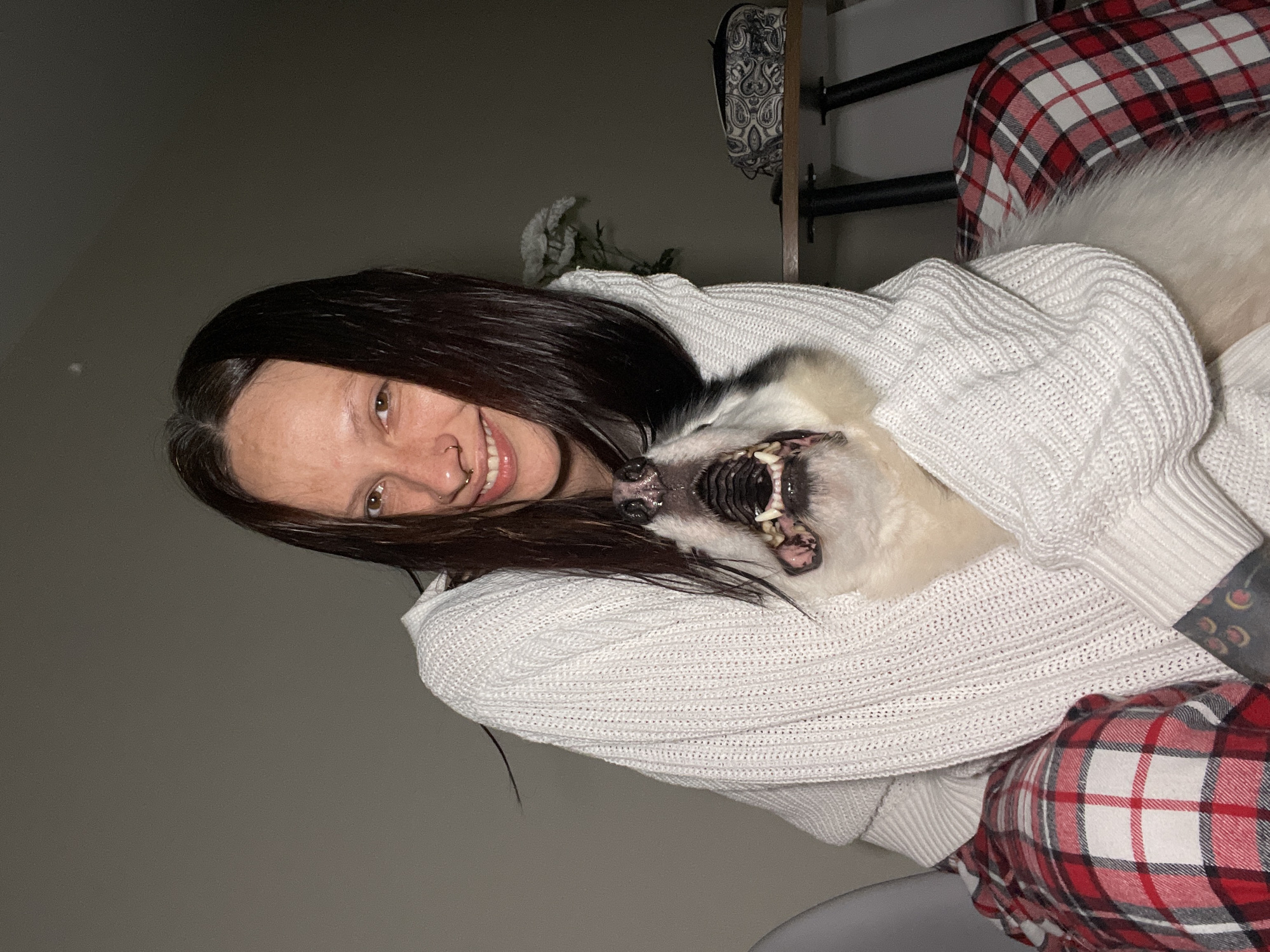 A woman with dark hair and a nose piercing is smiling and holding a white dog with its mouth open. She is wearing a white sweater. The background is a gray wall. Part of a shelf with a paisley patterned object on it is visible in the upper center. The woman and dog are seated on something covered in red and white plaid fabric. The location is not specified, and therefore it's impossible to determine if this is in Izhevsk, Russia.