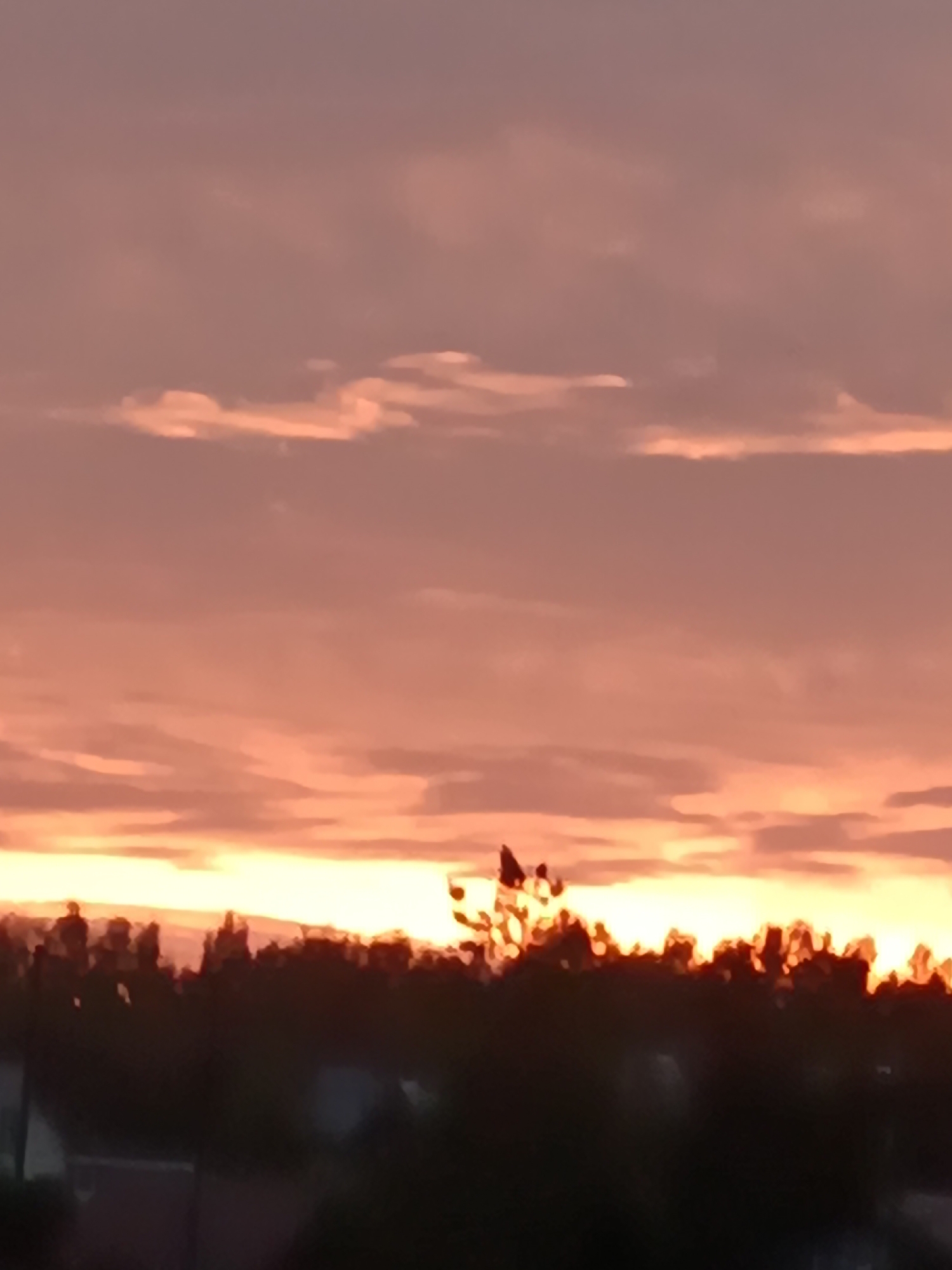 The image depicts a sunset over a wooded area in Ozernoe, Russia. The sky is filled with a gradient of pink and orange hues, with some clouds visible. Silhouetted against the bright sky is a dense line of trees. Below the trees, a few dark, indistinct shapes suggest the presence of buildings or structures. The overall impression is one of a peaceful, natural landscape at the end of the day.