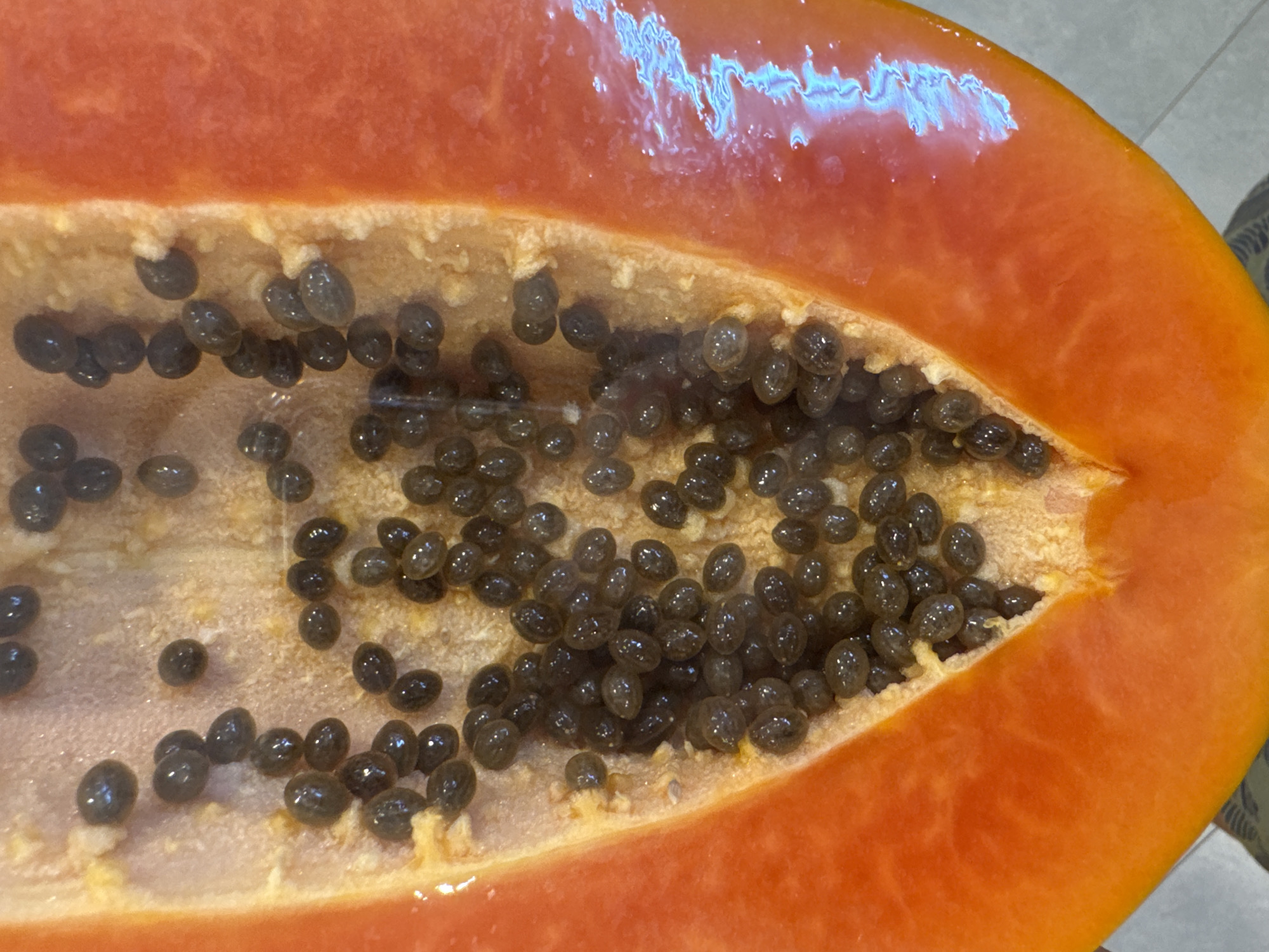A close-up shot depicts a halved papaya fruit, revealing its orange flesh and a dense cluster of black seeds in the central cavity. The fruit's outer skin is smooth and glossy, reflecting light. The seeds appear shiny and tightly packed.
I cannot give you location information.