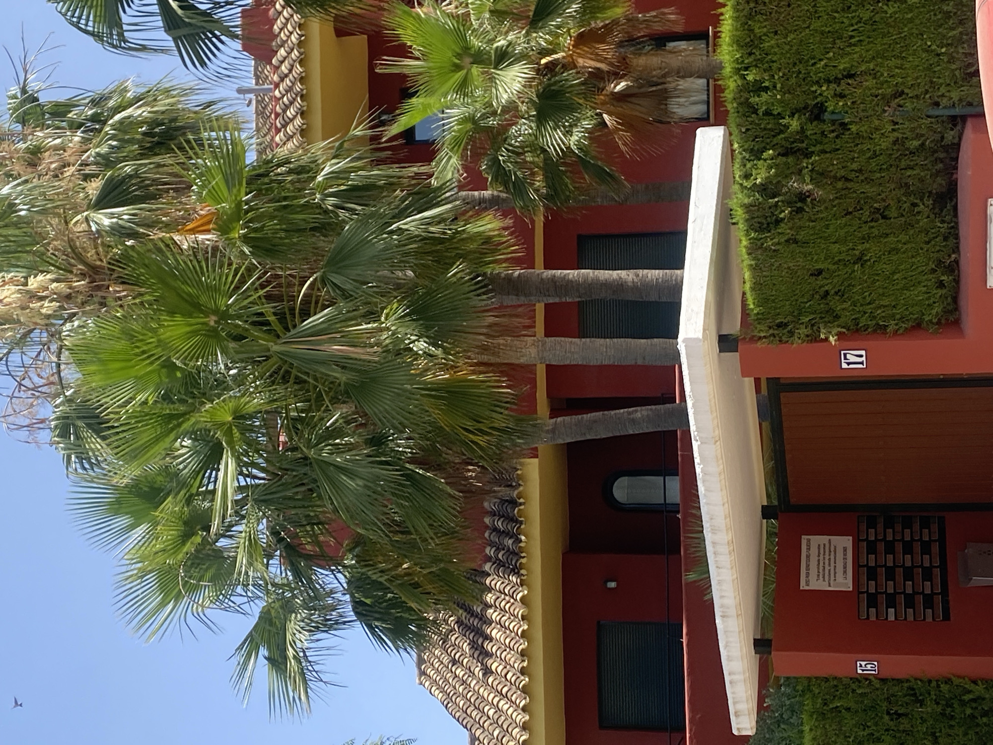 This media file shows a red building with a yellow trim, partially obscured by lush green palm trees. The building has a tiled roof and several windows. A white awning extends from the building, and a neat green hedge lines the side. The scene appears to be in a sunny outdoor location, possibly a resort or residential complex, given the tropical vegetation and well-maintained appearance. The sky is a clear blue, suggesting good weather.
Visible text includes the number "17" and "15" in blue squares, likely indicating apartment or unit numbers. There is also a small white sign on the building with Spanish text that reads: "AVISO PARA VISITANTES / PUBLICIDAD: 'Todo publicidad en este mismo edificio, debe tener anuncios de particulares, queda prohibida la empresa anunciante. LA COMUNIDAD DE VECINOS'". This translates to "NOTICE FOR VISITORS / ADVERTISING: 'All advertising in this building must have private advertisements, it is forbidden by the advertising company. THE COMMUNITY OF NEIGHBORS'". The time of day appears to be daytime, given the bright sunlight and shadows. The image has a vertical orientation, and the palm trees are swaying, indicating a gentle breeze. There are no people visible in the media file.
