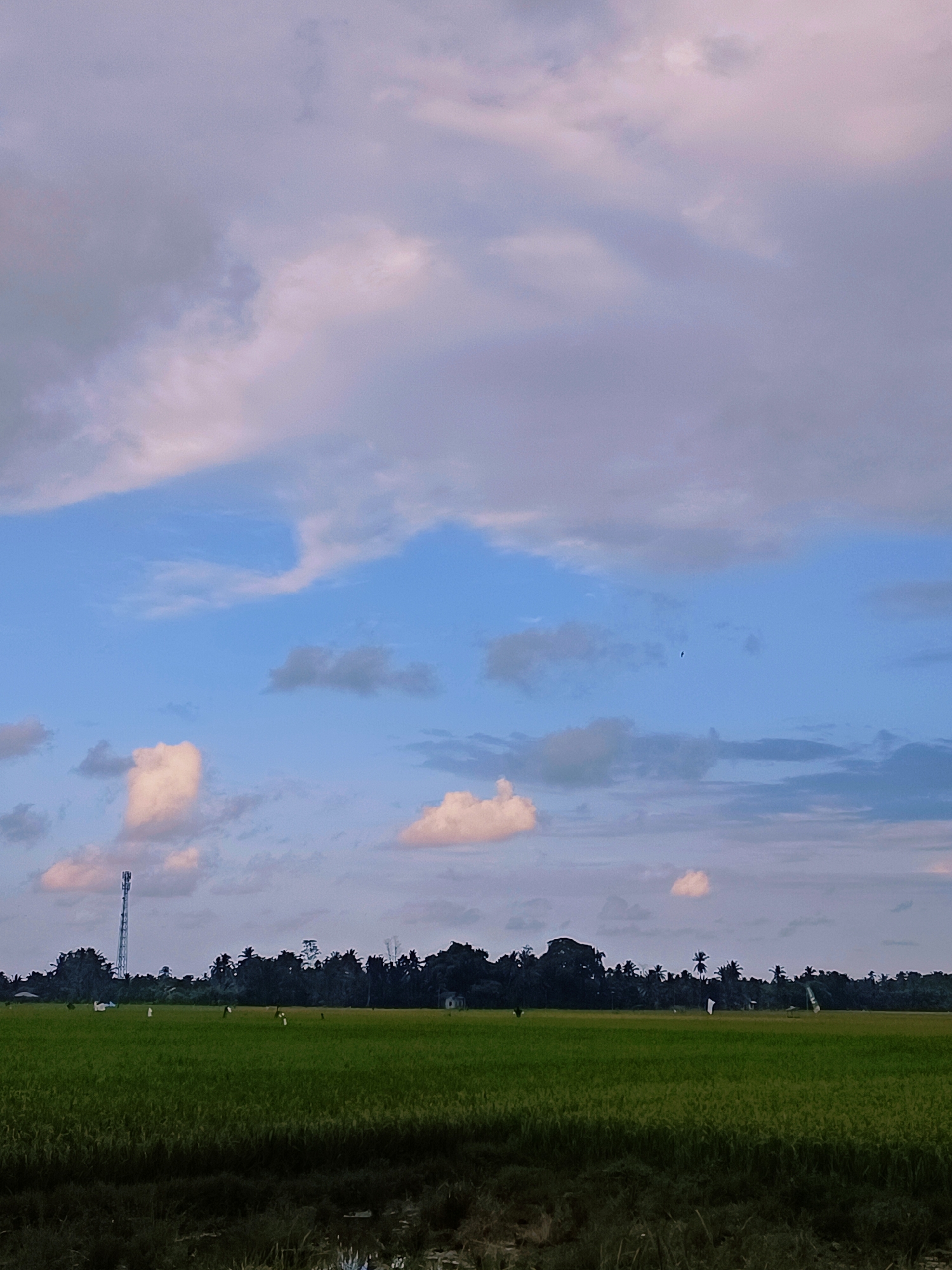 The image depicts a rural landscape under a sky filled with dramatic clouds. A vast expanse of green rice paddies occupies the foreground, with a dark, blurred strip of vegetation in the immediate front. In the mid-ground, a line of dark trees forms a dense backdrop. A tall telecommunications tower stands to the left of the tree line, and several scattered figures, possibly scarecrows or farm workers, are visible in the field. The sky is a mix of blue and pale pink and grey clouds, with a small dark bird flying in the upper right quadrant. The scene is likely set in the city of Tijien Daboh, Indonesia, given the prevalence of rice paddies and tropical vegetation.